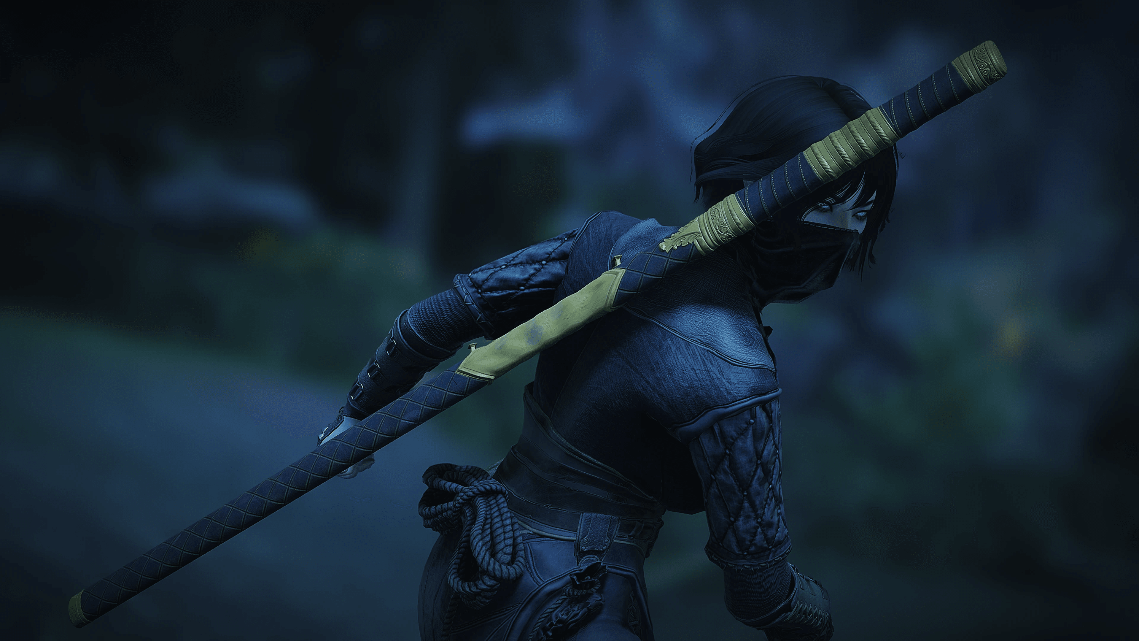 Blades of the Eternal Guard mod for The Elder Scrolls V: Skyrim Special Edition