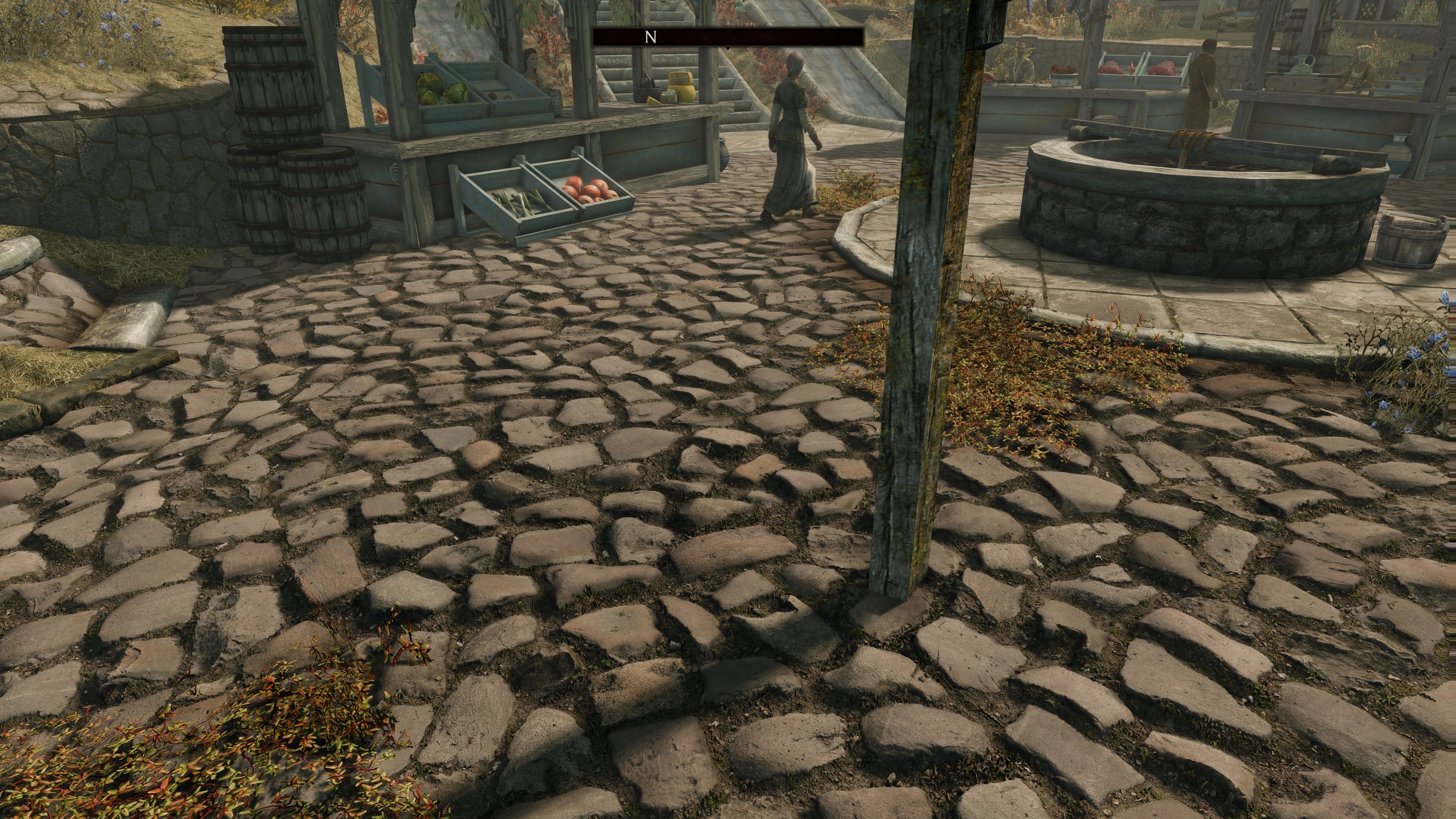 PGPatcher mod for The Elder Scrolls V: Skyrim Special Edition