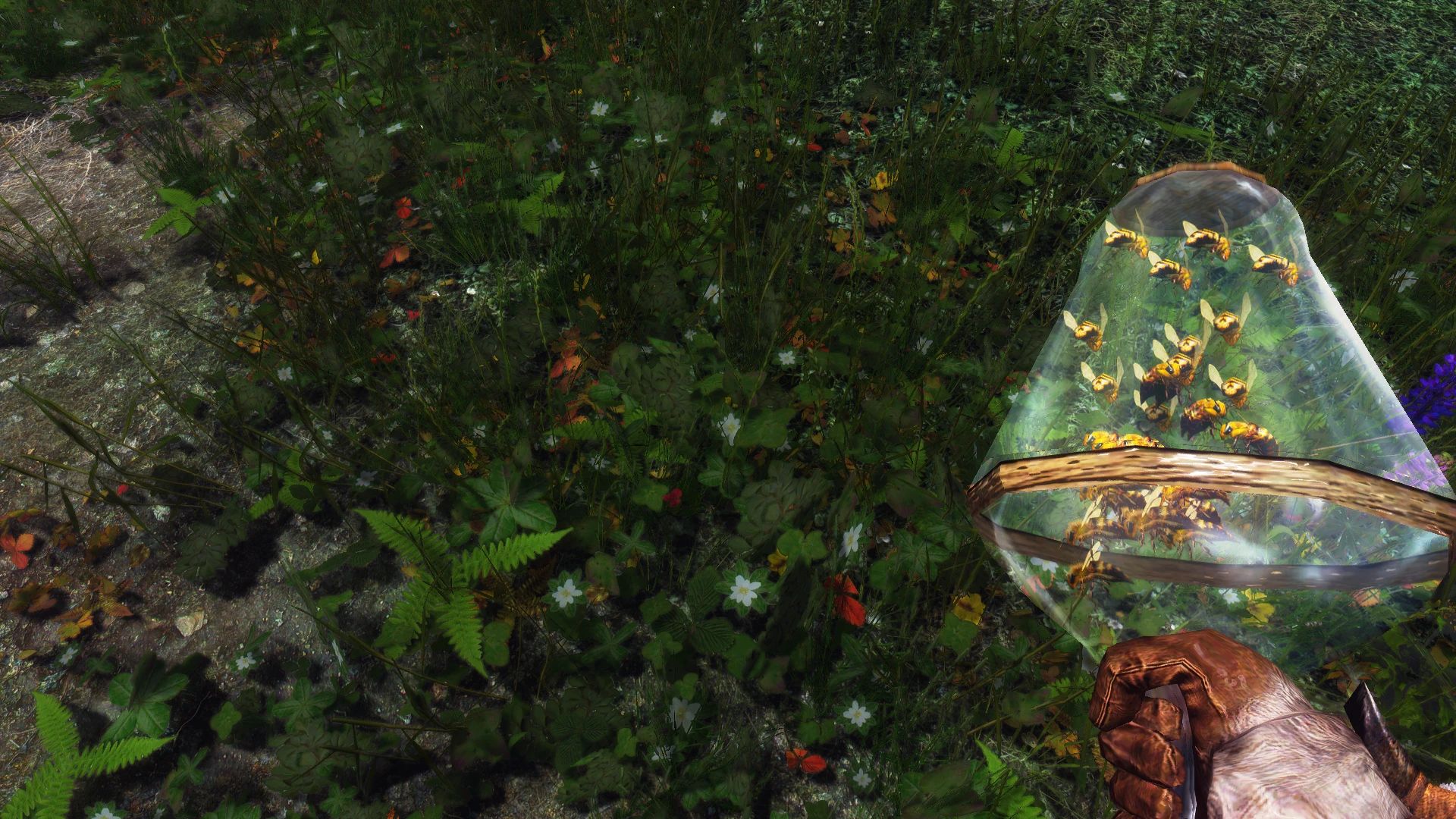 Not The Immersive Bees mod for The Elder Scrolls V: Skyrim Special Edition