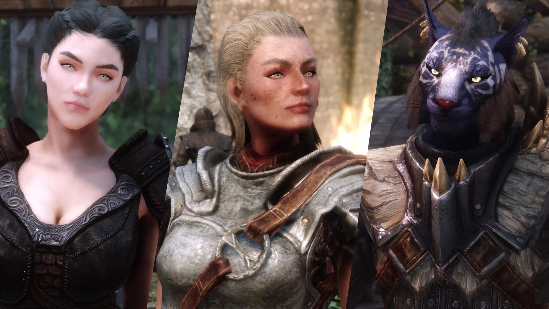 Nexus Companions Refine (Sofia - Inigo - and More) mod for The Elder Scrolls V: Skyrim Special Edition