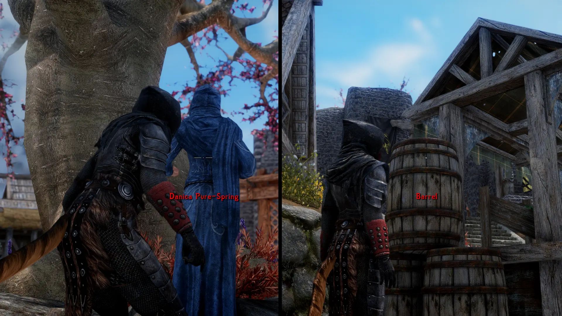 Simple Activate SKSE mod for The Elder Scrolls V: Skyrim Special Edition