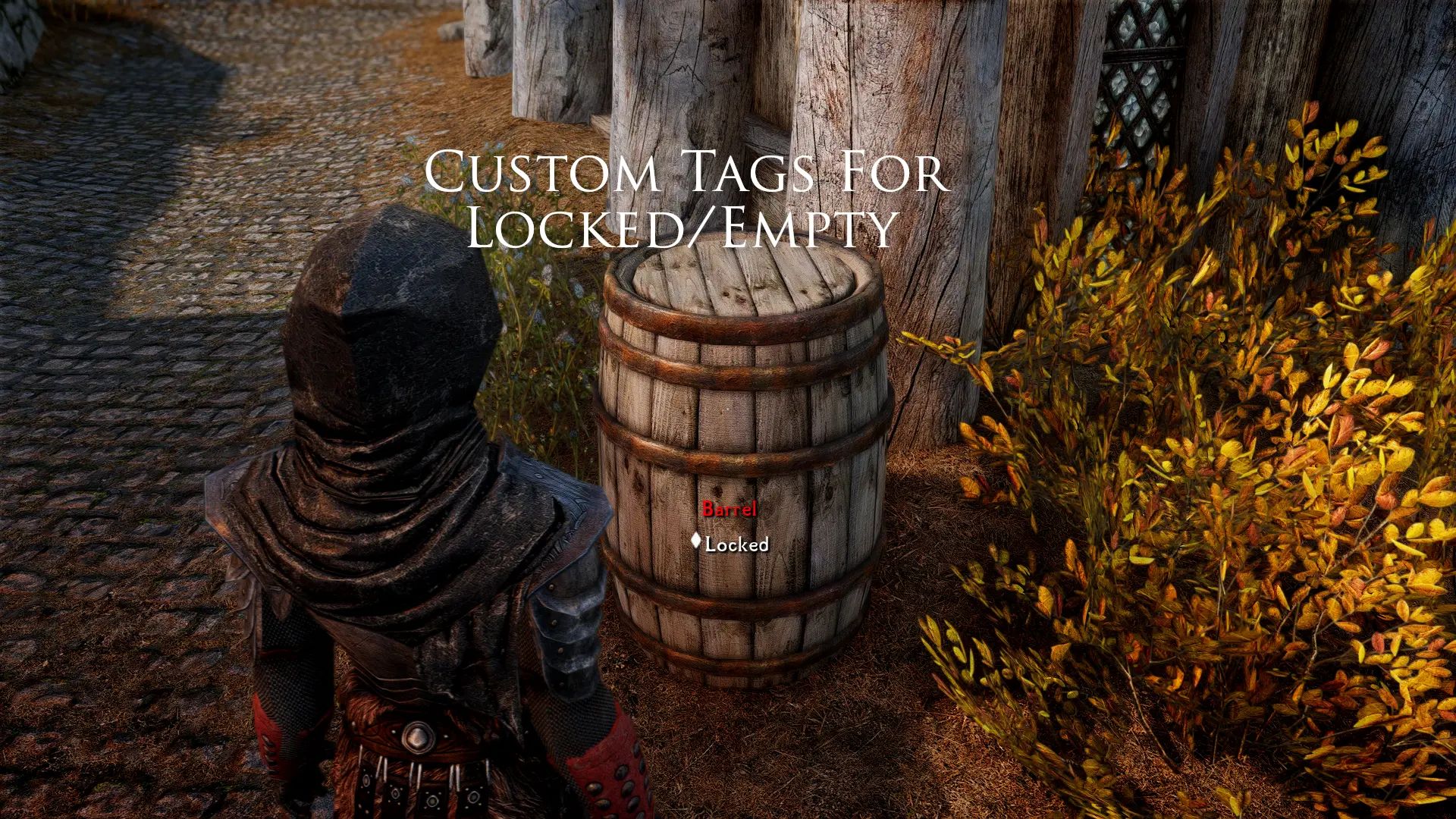 Simple Activate SKSE mod for The Elder Scrolls V: Skyrim Special Edition