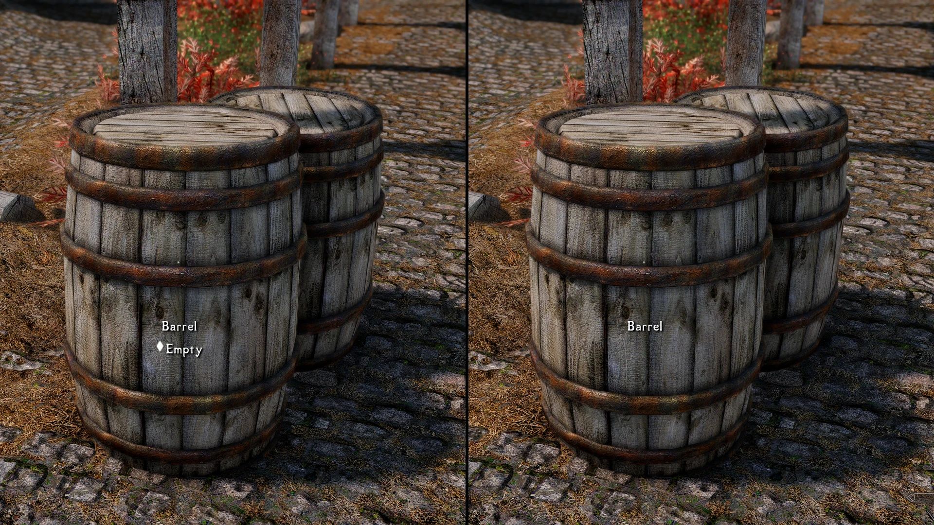 Simple Activate SKSE mod for The Elder Scrolls V: Skyrim Special Edition