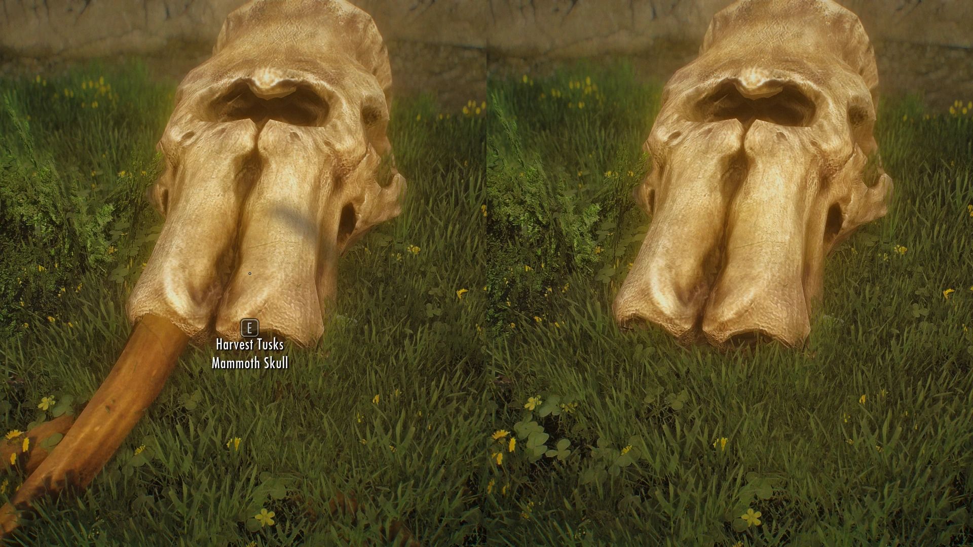 Dynamic Things Alternative mod for The Elder Scrolls V: Skyrim Special Edition