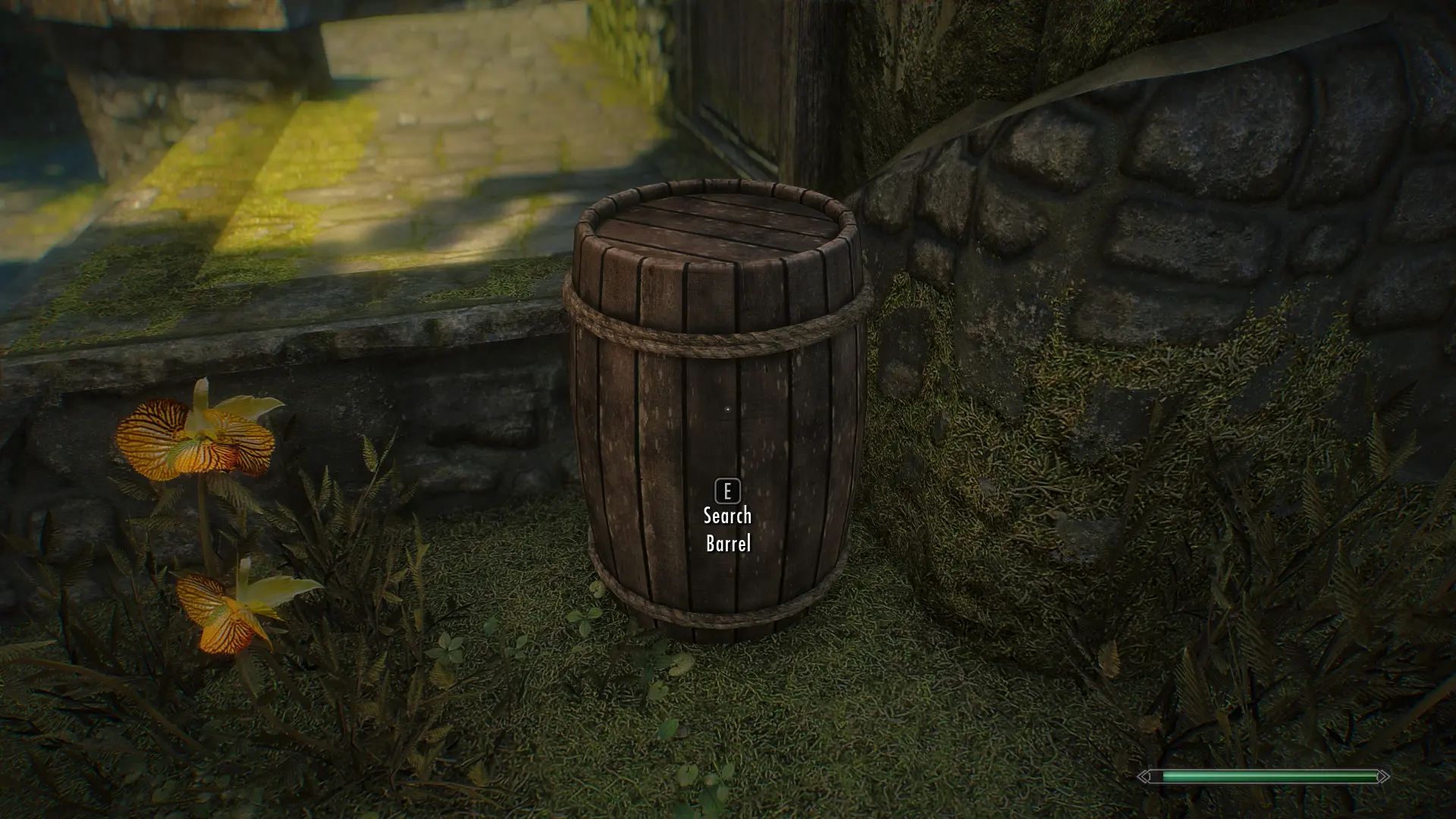 Dynamic Things Alternative mod for The Elder Scrolls V: Skyrim Special Edition