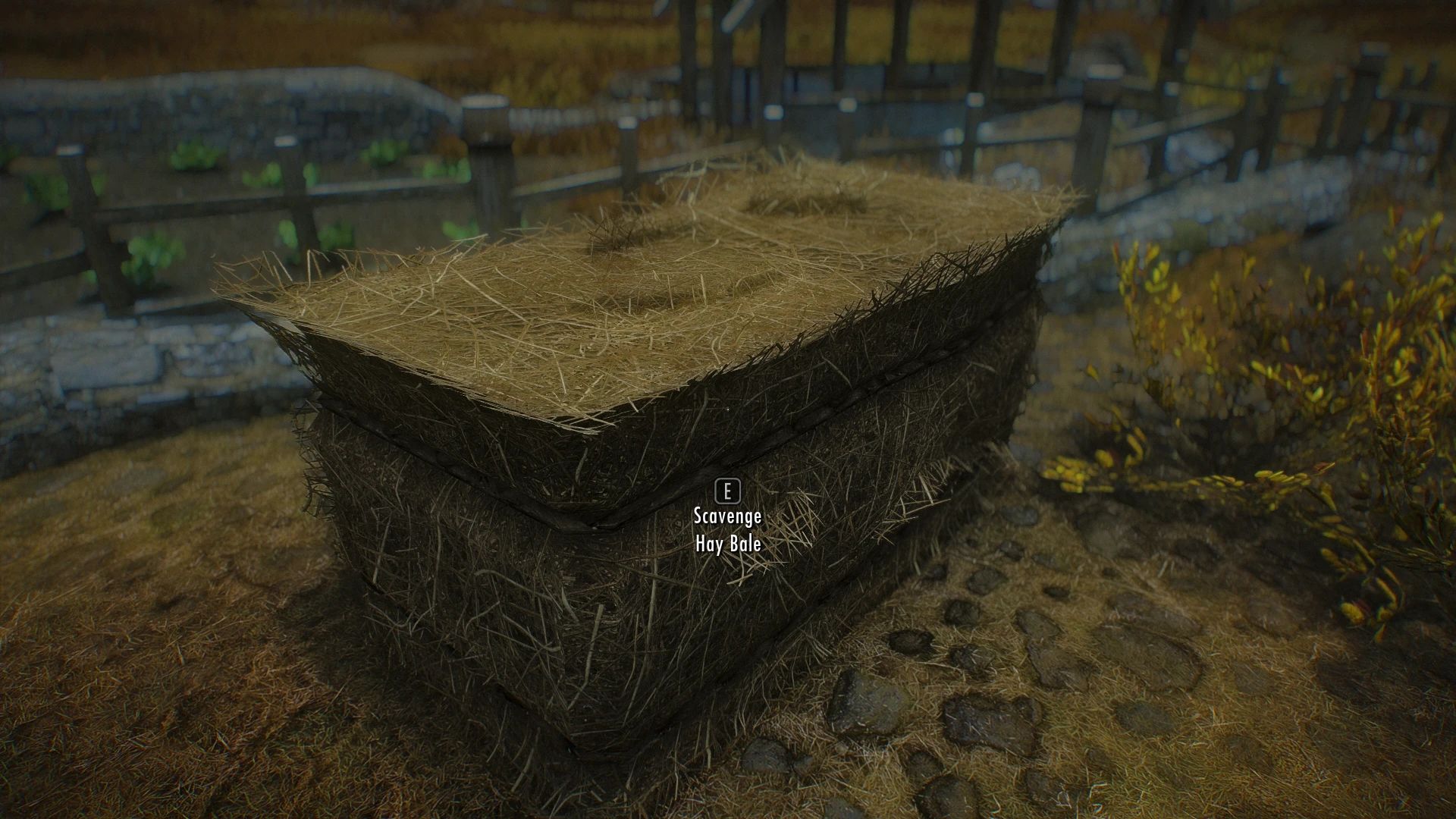 Dynamic Things Alternative mod for The Elder Scrolls V: Skyrim Special Edition