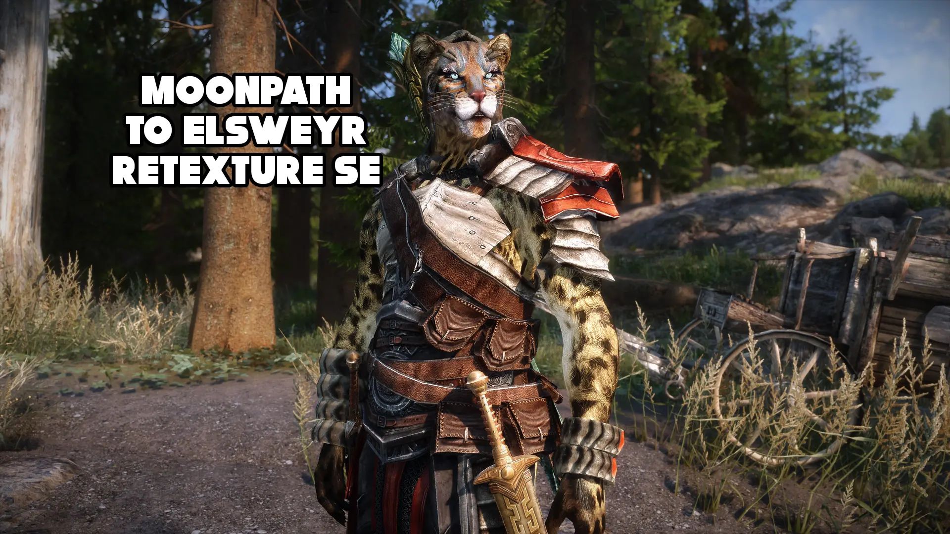 Moonpath To Elsweyr Retexture SE mod for The Elder Scrolls V: Skyrim Special Edition