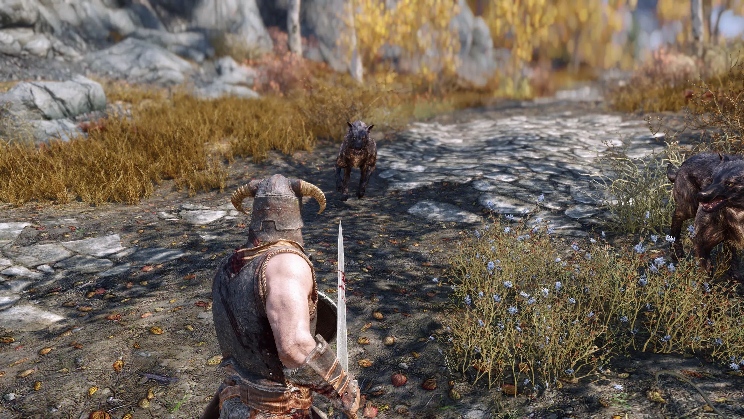 Target Focus mod for The Elder Scrolls V: Skyrim Special Edition