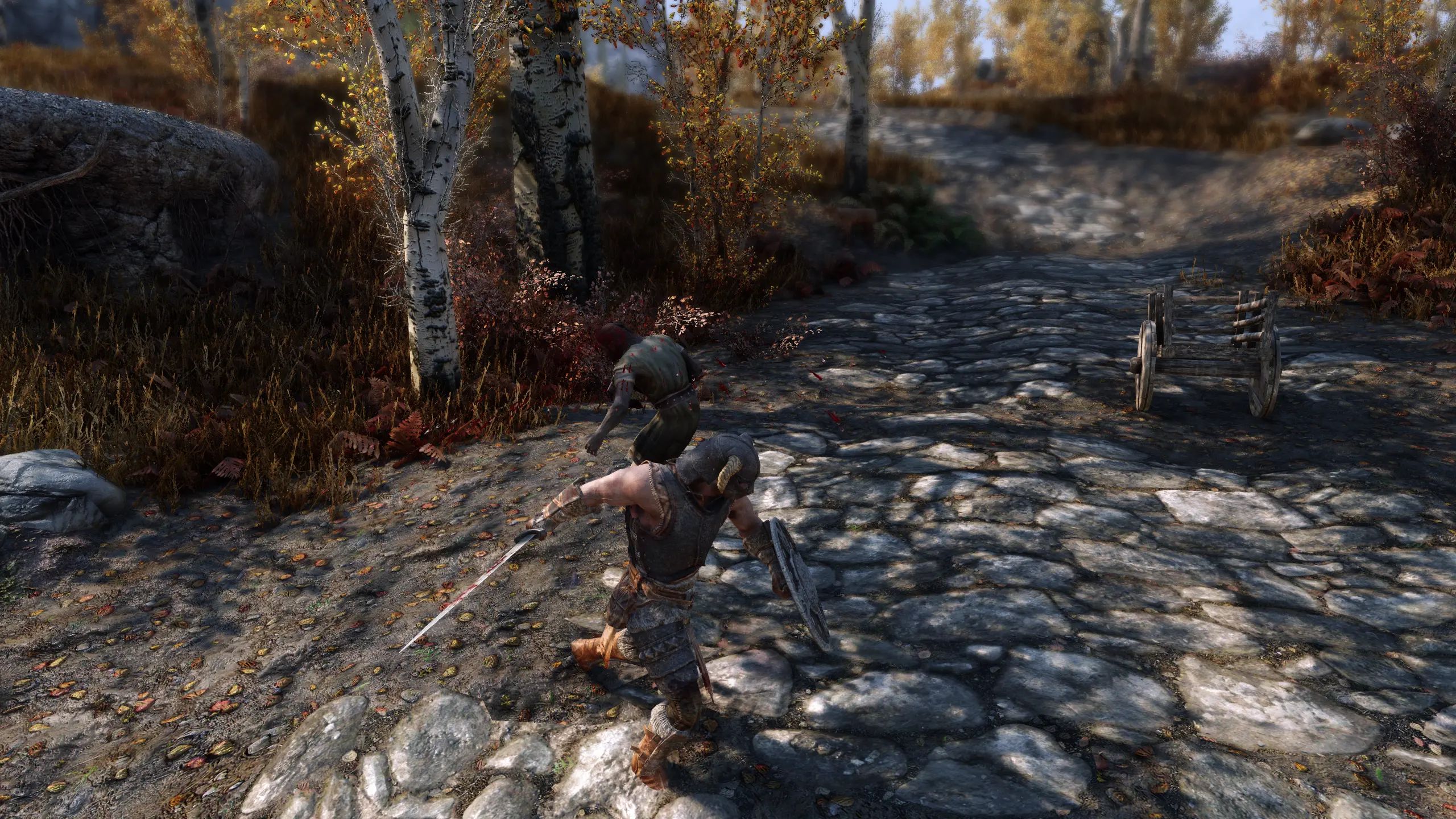 Target Focus mod for The Elder Scrolls V: Skyrim Special Edition