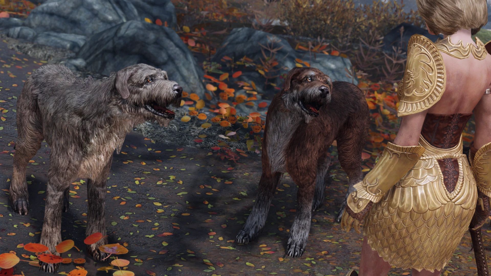 Dynamic Animal Variants SPID (Updated Textures - Fixes - Improvements - And More) mod for The Elder Scrolls V: Skyrim Special Edition