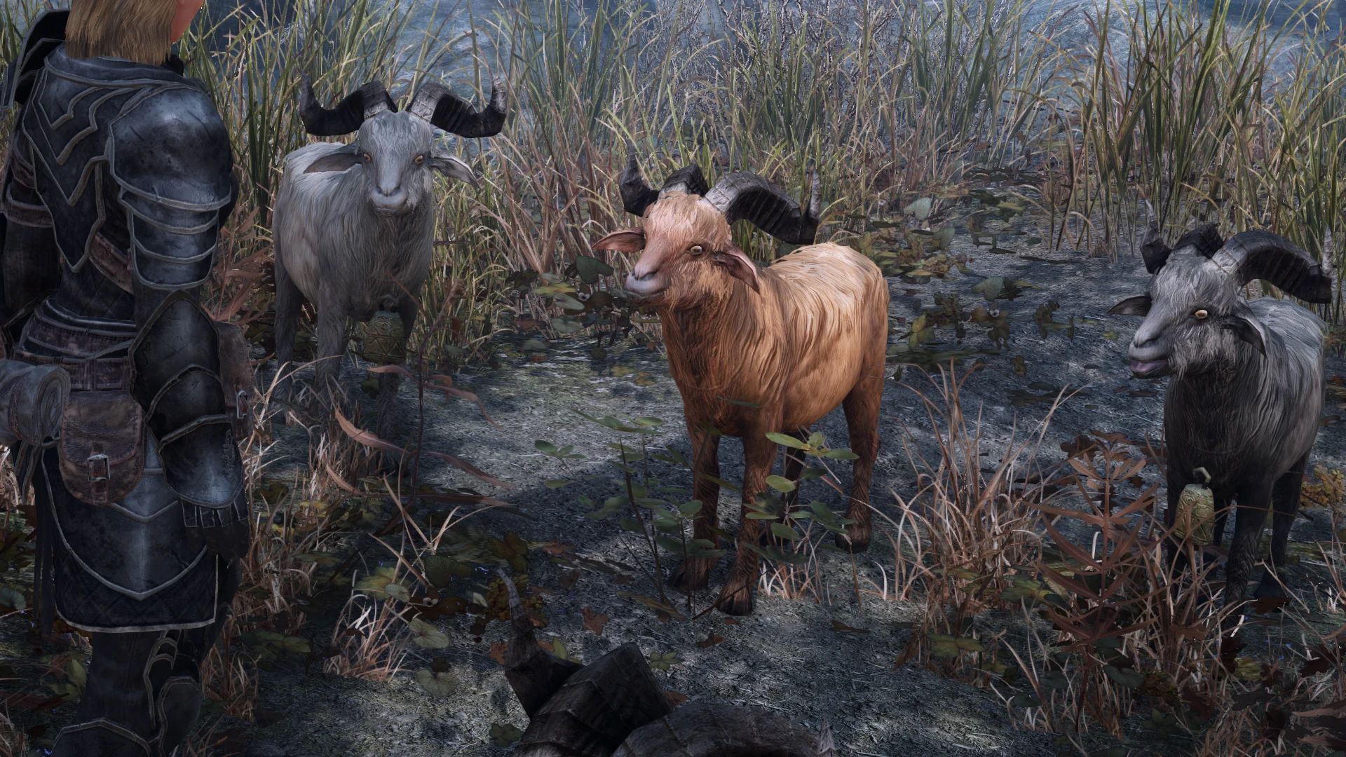 Simple Pelt Rebalance mod for The Elder Scrolls V: Skyrim Special Edition