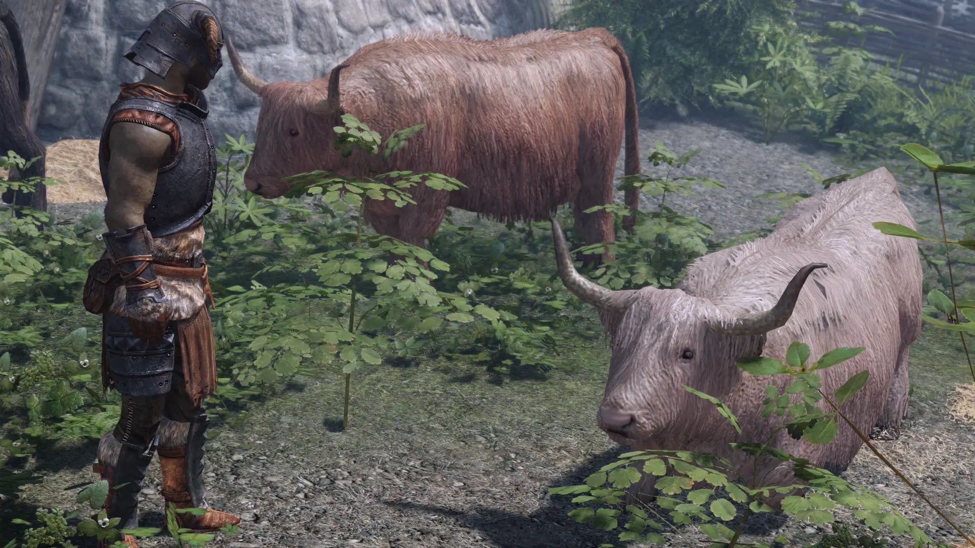 Dynamic Animal Variants SPID (Updated Textures - Fixes - Improvements - And More) mod for The Elder Scrolls V: Skyrim Special Edition