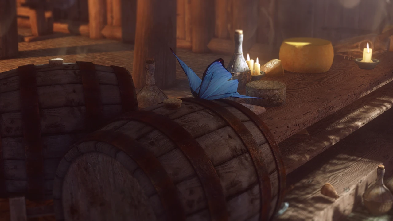 Reverb Interior Sounds Expansion (SRD - Rain Thunder Ambience - Fixes) mod for The Elder Scrolls V: Skyrim Special Edition