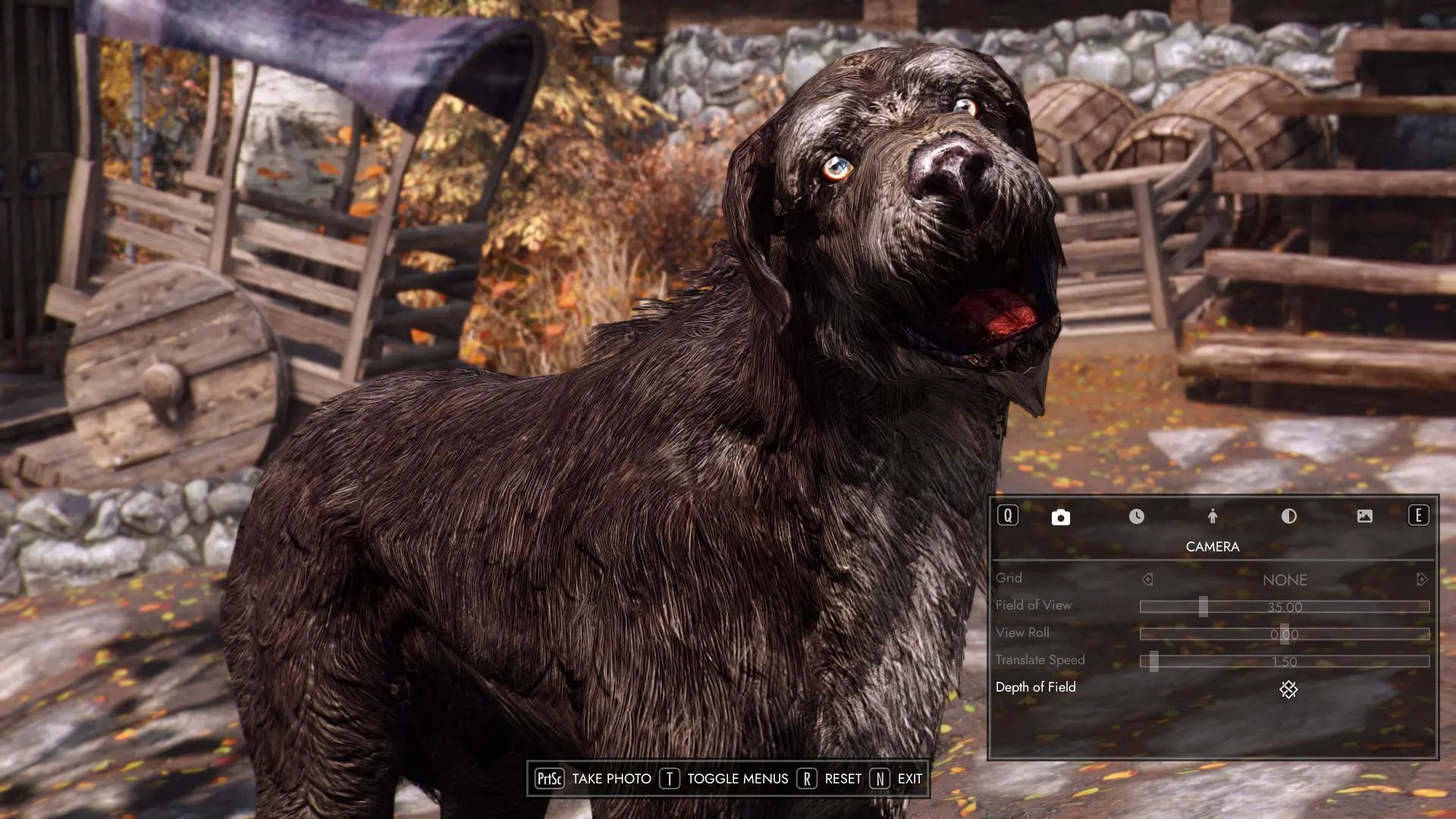 Photo Mode mod for The Elder Scrolls V: Skyrim Special Edition