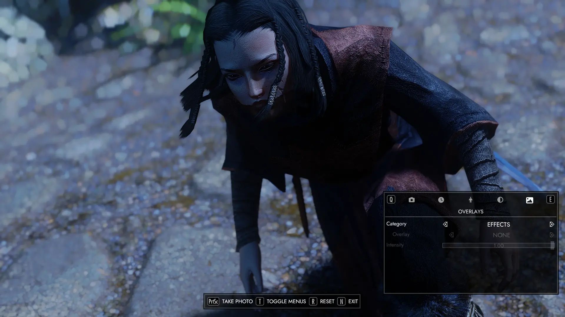 Photo Mode mod for The Elder Scrolls V: Skyrim Special Edition