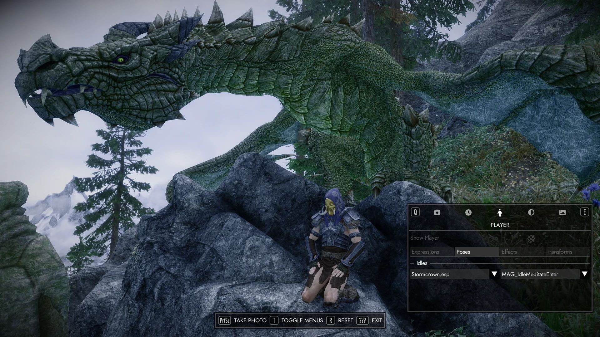 Photo Mode mod for The Elder Scrolls V: Skyrim Special Edition