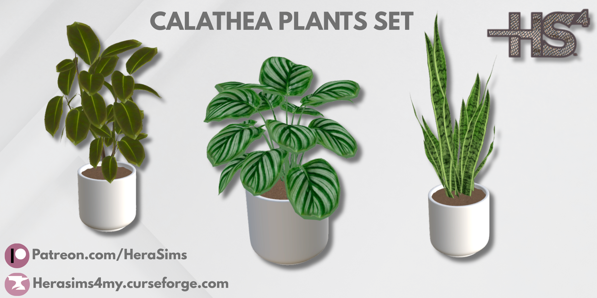 Calathea plants set mod for The Sims 4 
