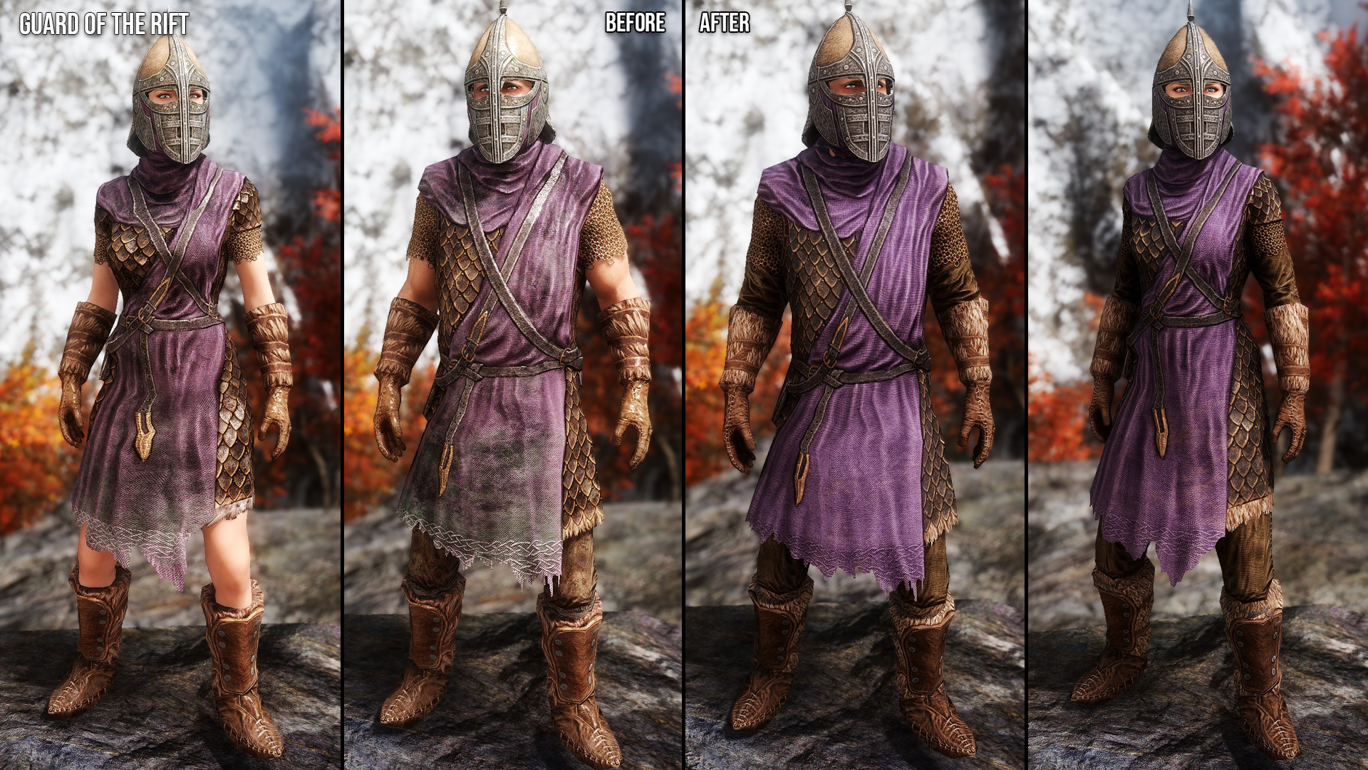 Guards and Stormcloaks Armors Retexture SE mod for The Elder Scrolls V: Skyrim Special Edition