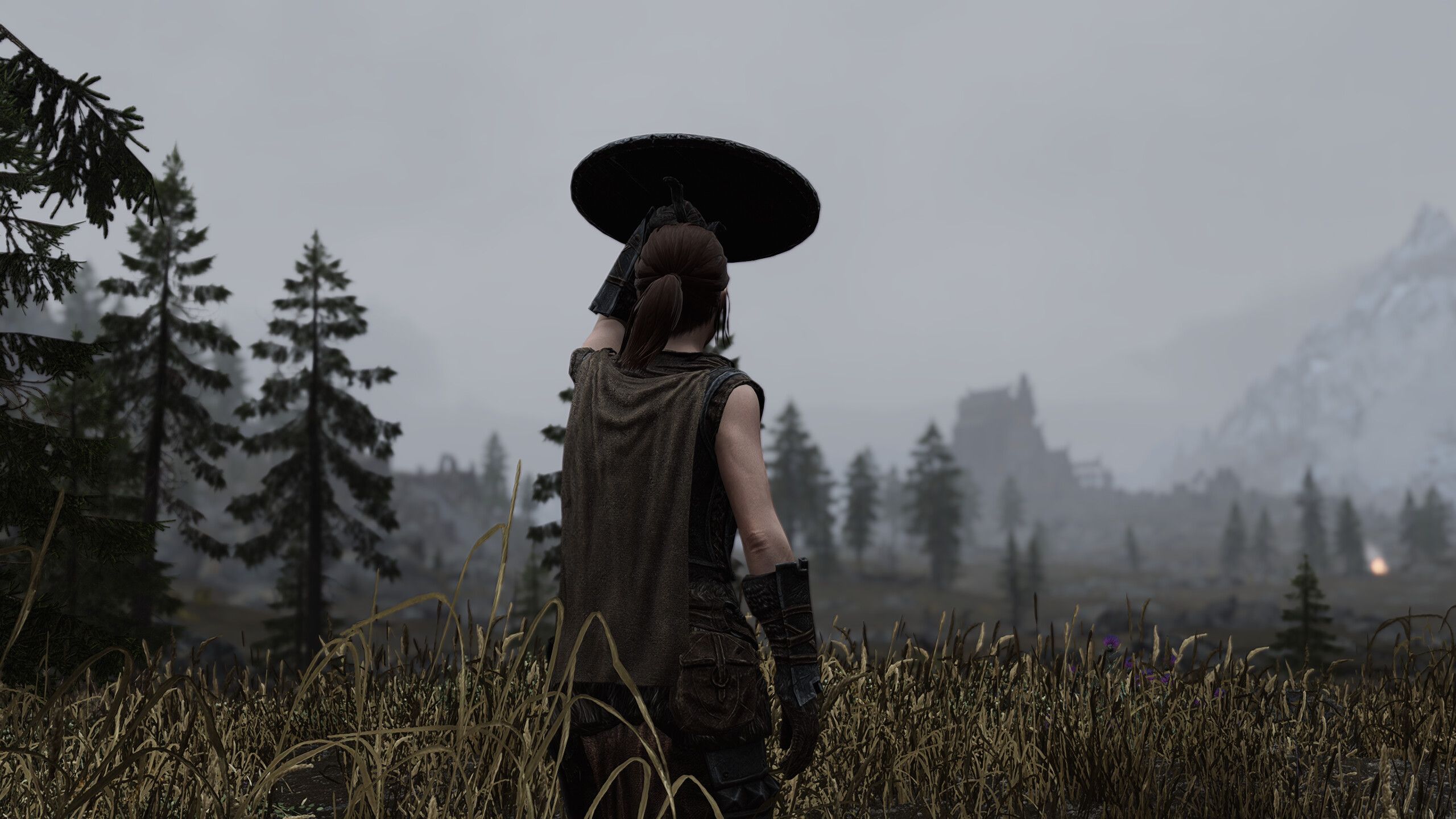 EVG Conditional Idles mod for The Elder Scrolls V: Skyrim Special Edition