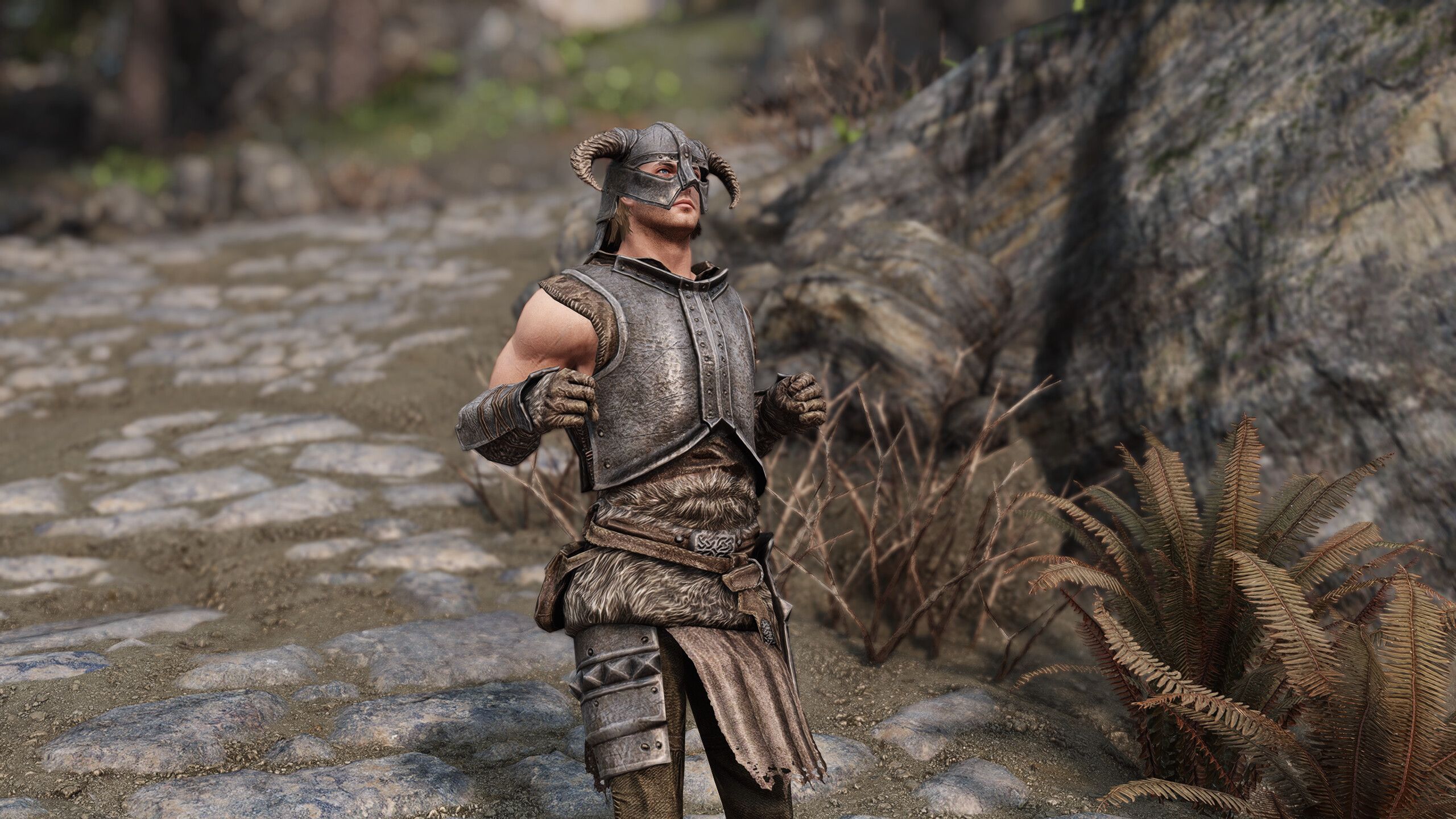 EVG Conditional Idles mod for The Elder Scrolls V: Skyrim Special Edition