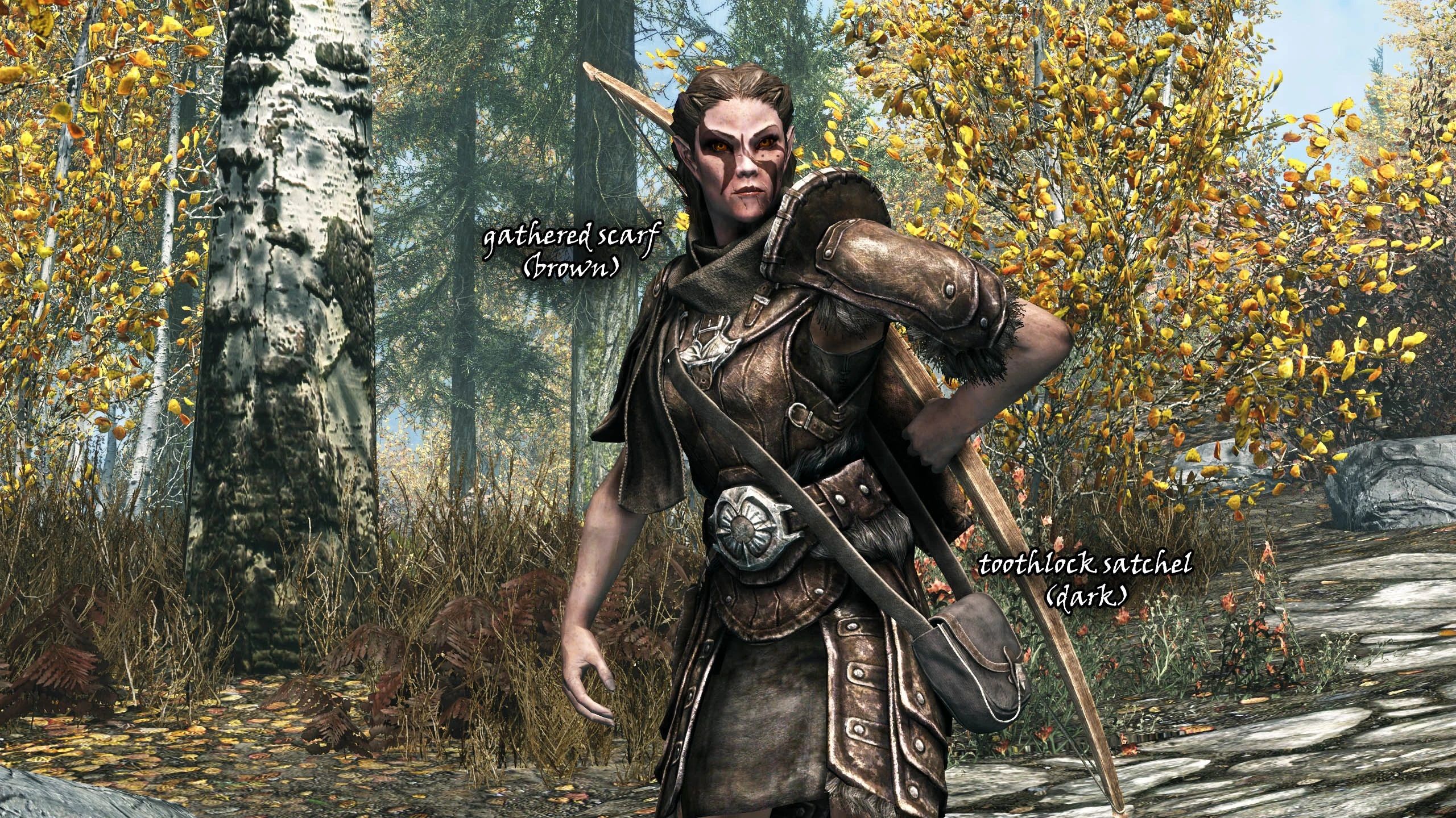 Nirn Necessities - SMP Accessories mod for The Elder Scrolls V: Skyrim Special Edition