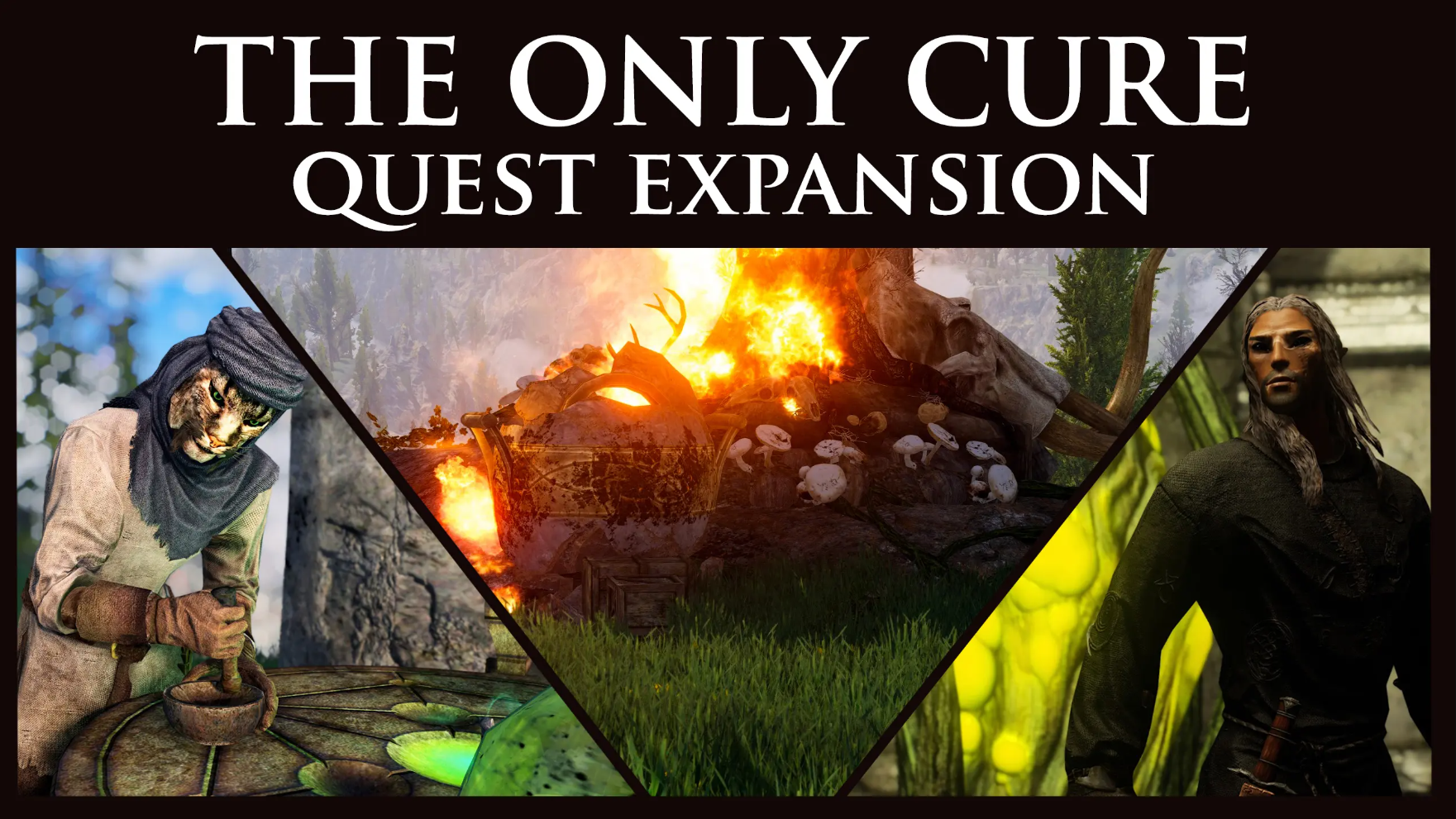 The Only Cure - Quest Expansion mod for The Elder Scrolls V: Skyrim Special Edition