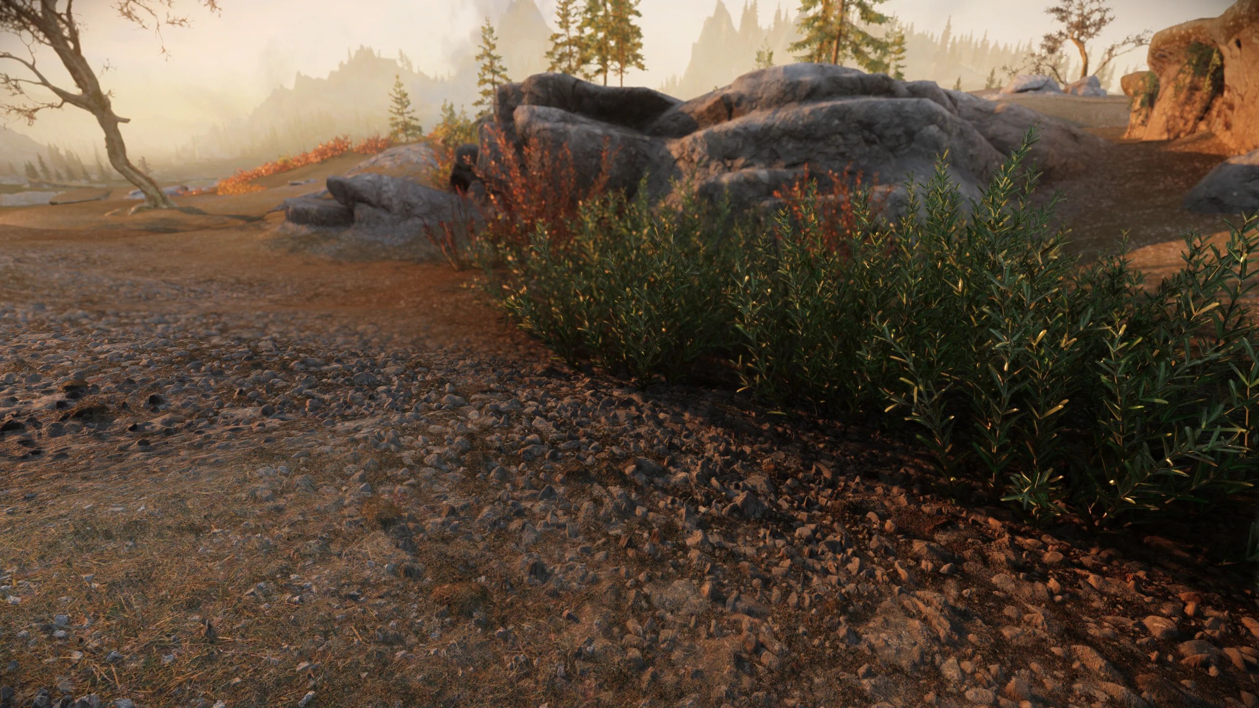 Tomato's Complex Parallax Material Landscapes AIO - With DLCs mod for The Elder Scrolls V: Skyrim Special Edition