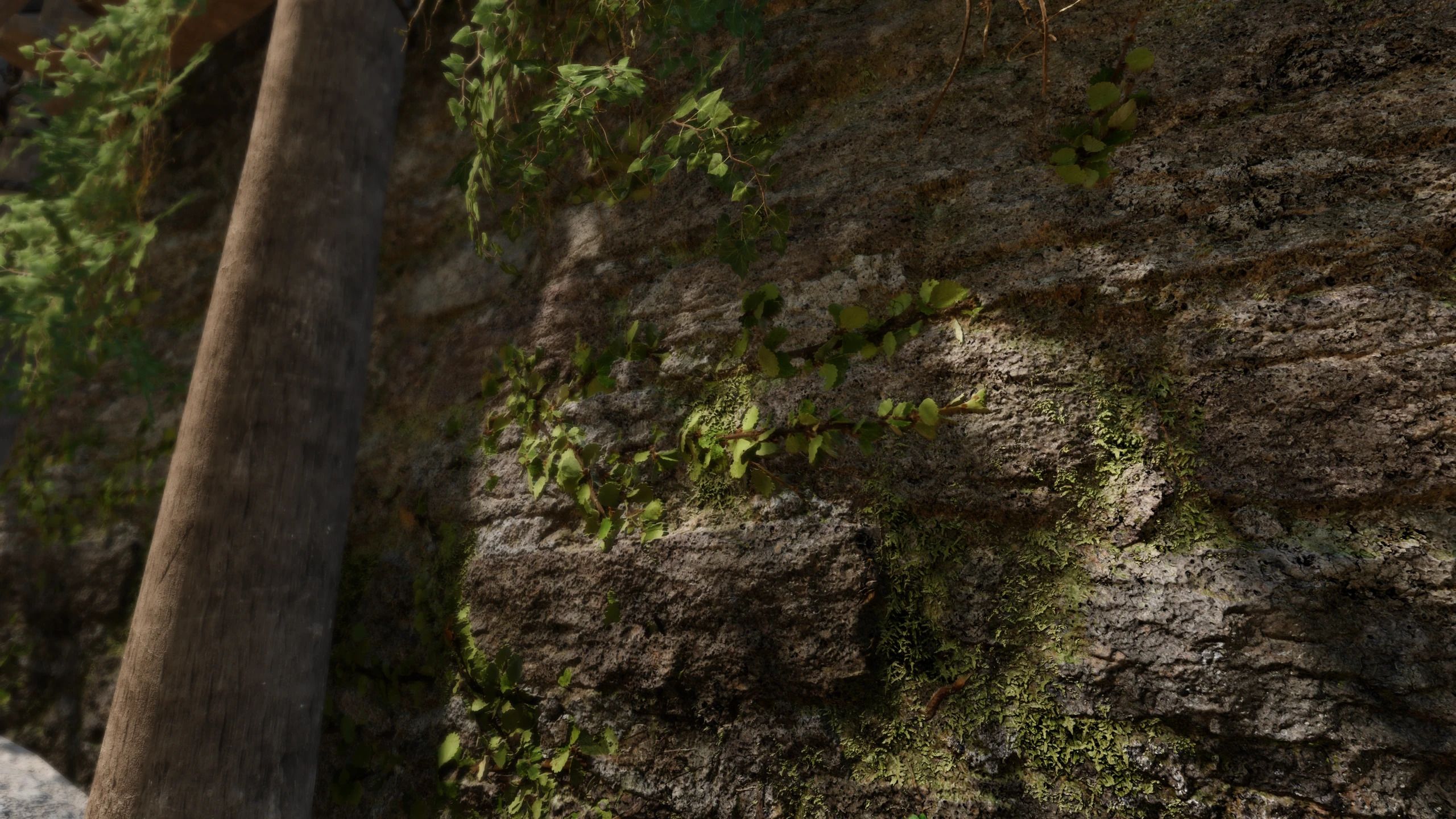 Tomato's V2 Farmhouse - Complex Parallax Material mod for The Elder Scrolls V: Skyrim Special Edition