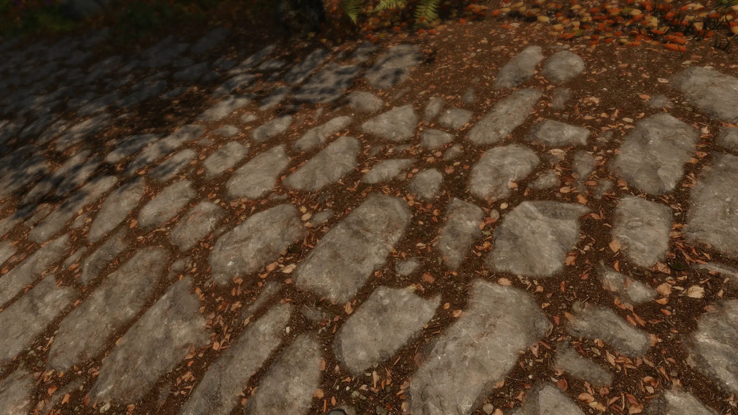 Tomato's Blended Roads Retexture - Dirt02 also mod for The Elder Scrolls V: Skyrim Special Edition