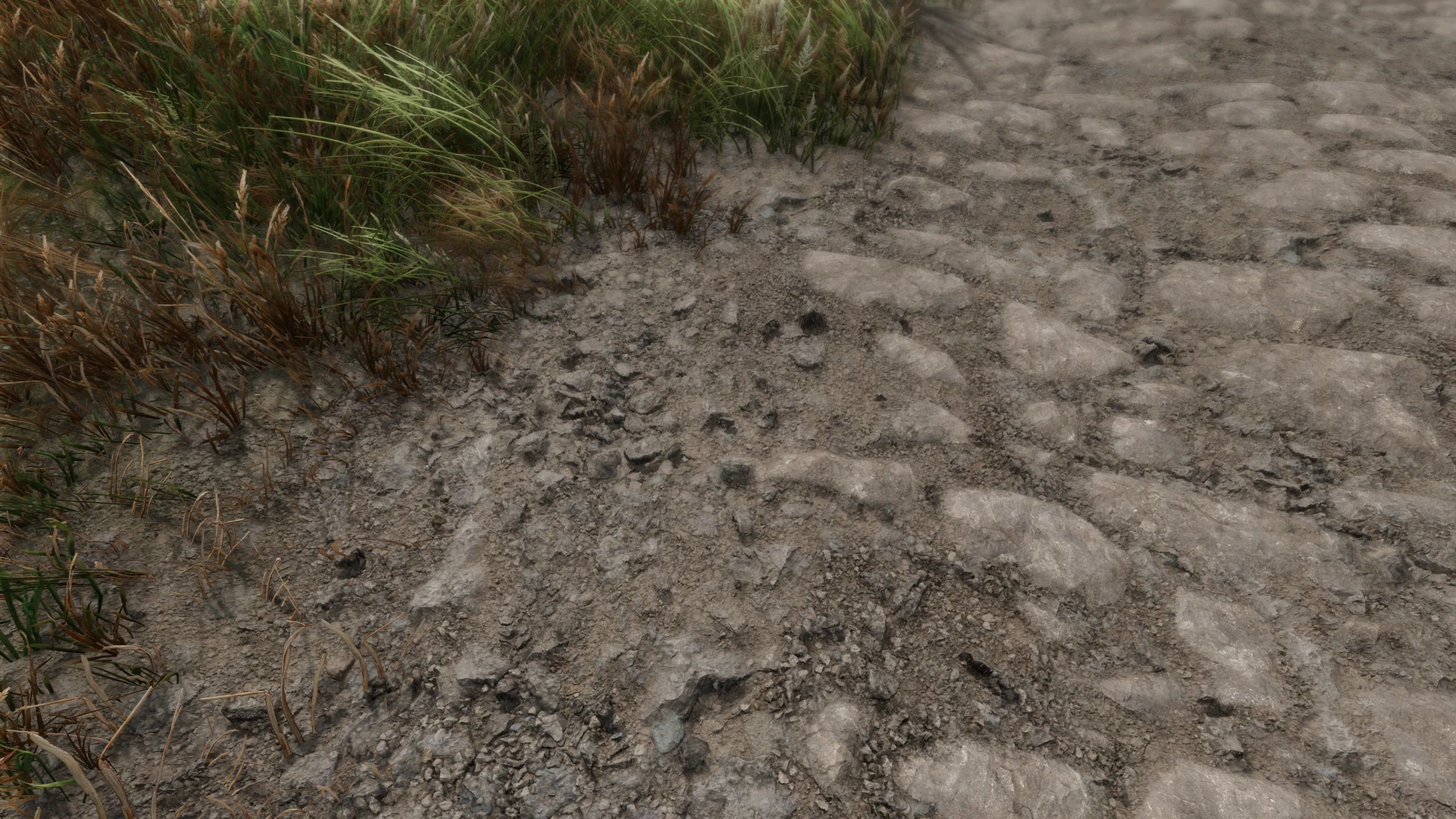 Tomato's Blended Roads Retexture - Dirt02 also mod for The Elder Scrolls V: Skyrim Special Edition