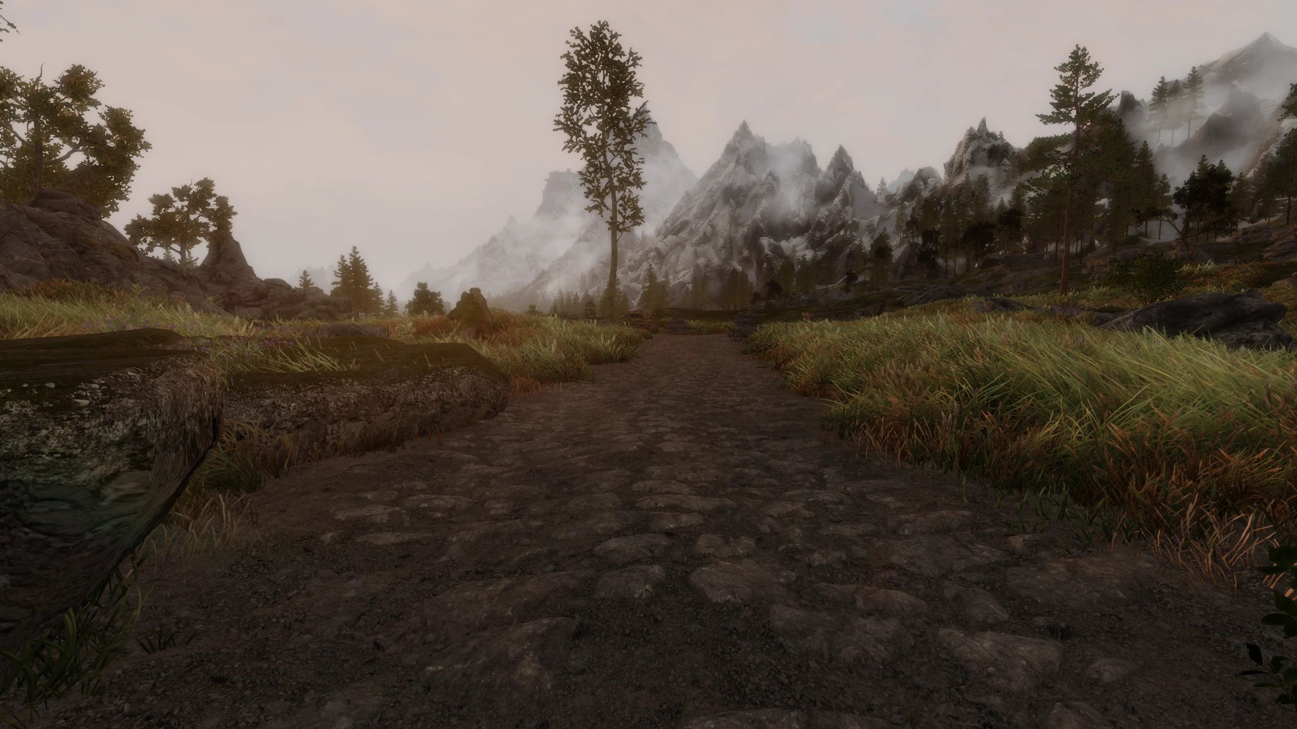 Tomato's Blended Roads Retexture - Dirt02 also mod for The Elder Scrolls V: Skyrim Special Edition