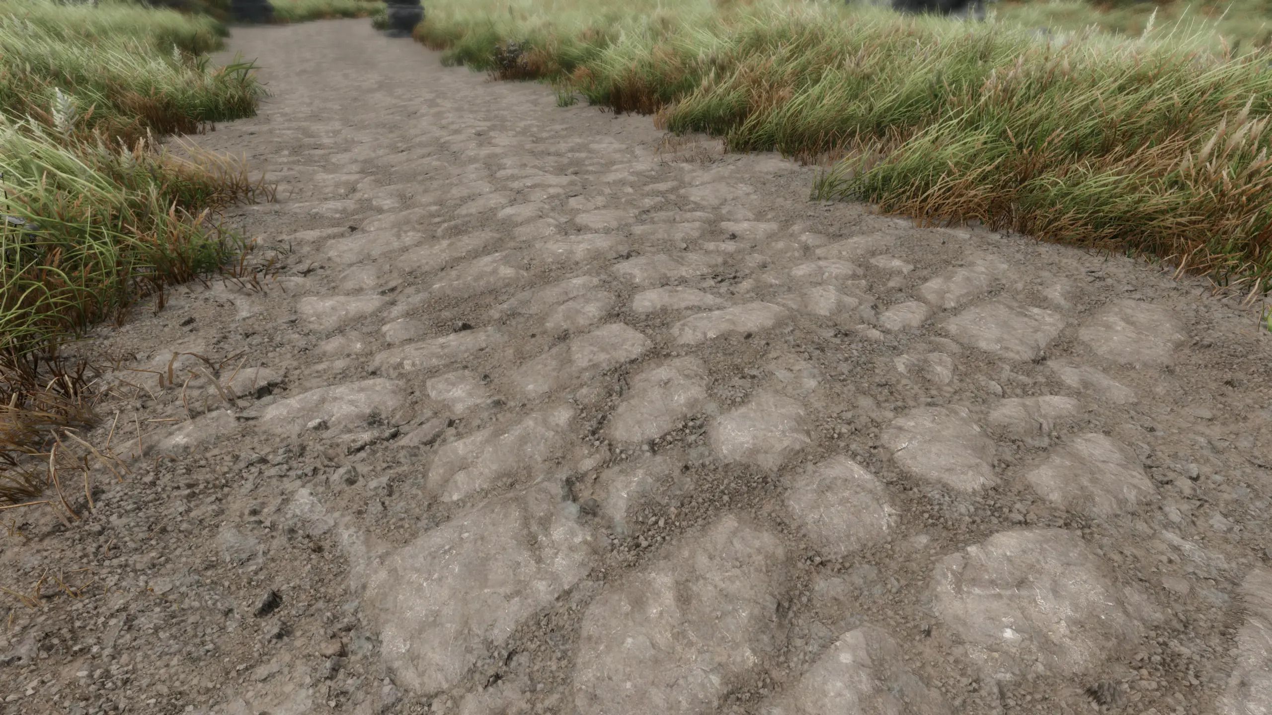 Tomato's Blended Roads Retexture - Dirt02 also mod for The Elder Scrolls V: Skyrim Special Edition