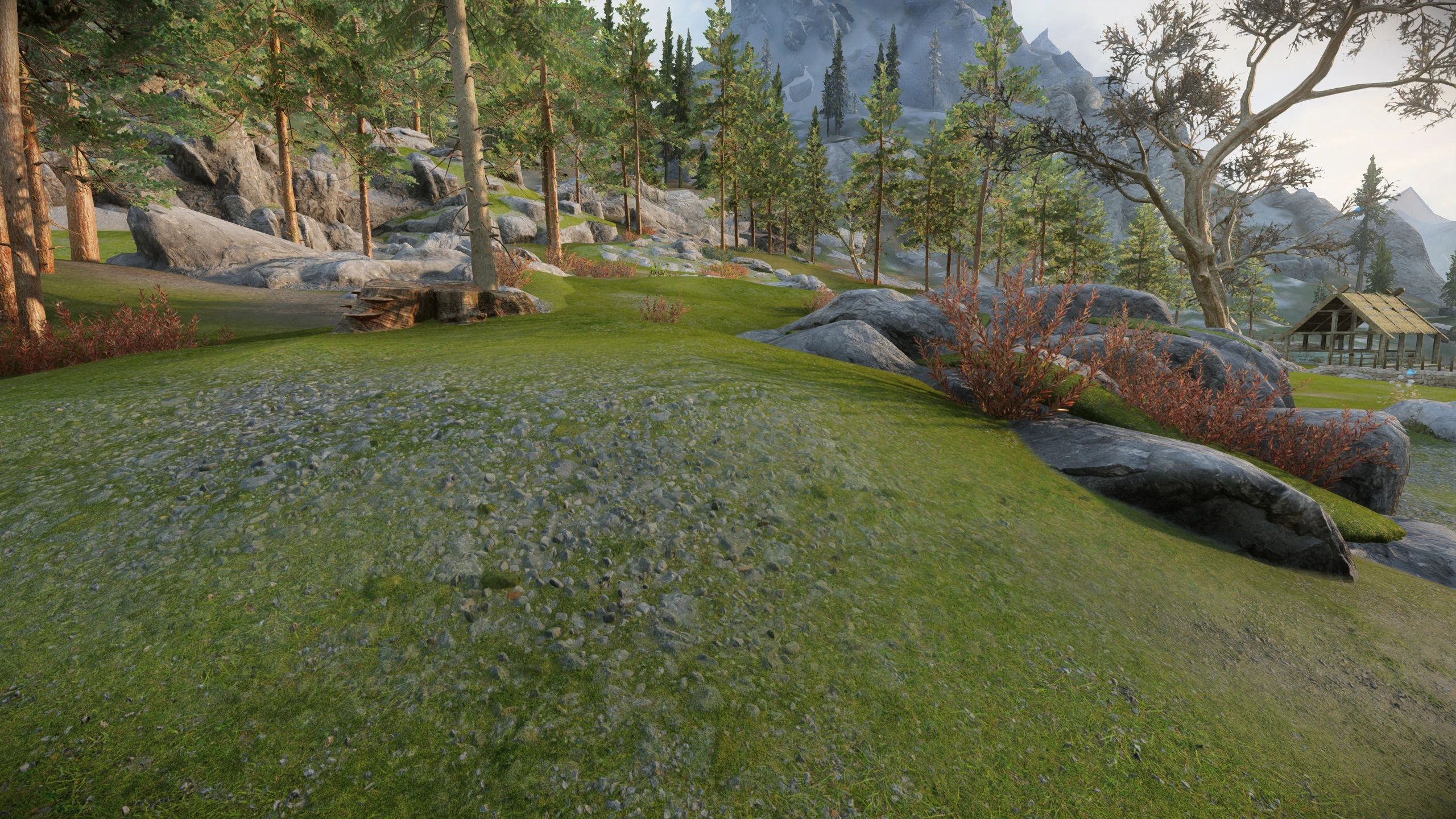 Tomato's Green Tundra Landscape Parallax mod for The Elder Scrolls V: Skyrim Special Edition