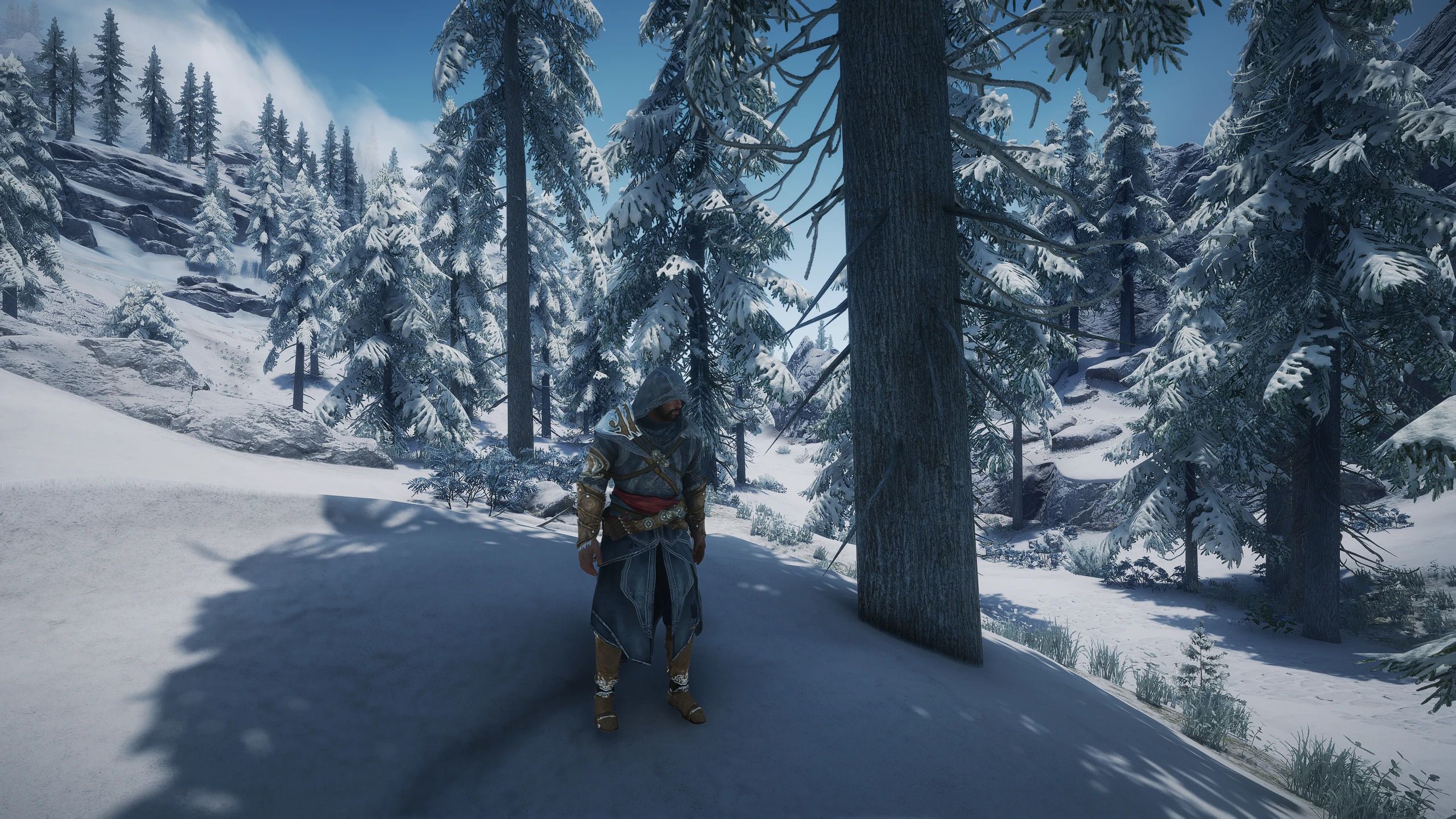 Ezios Armor - Assassin's Creed mod for The Elder Scrolls V: Skyrim Special Edition