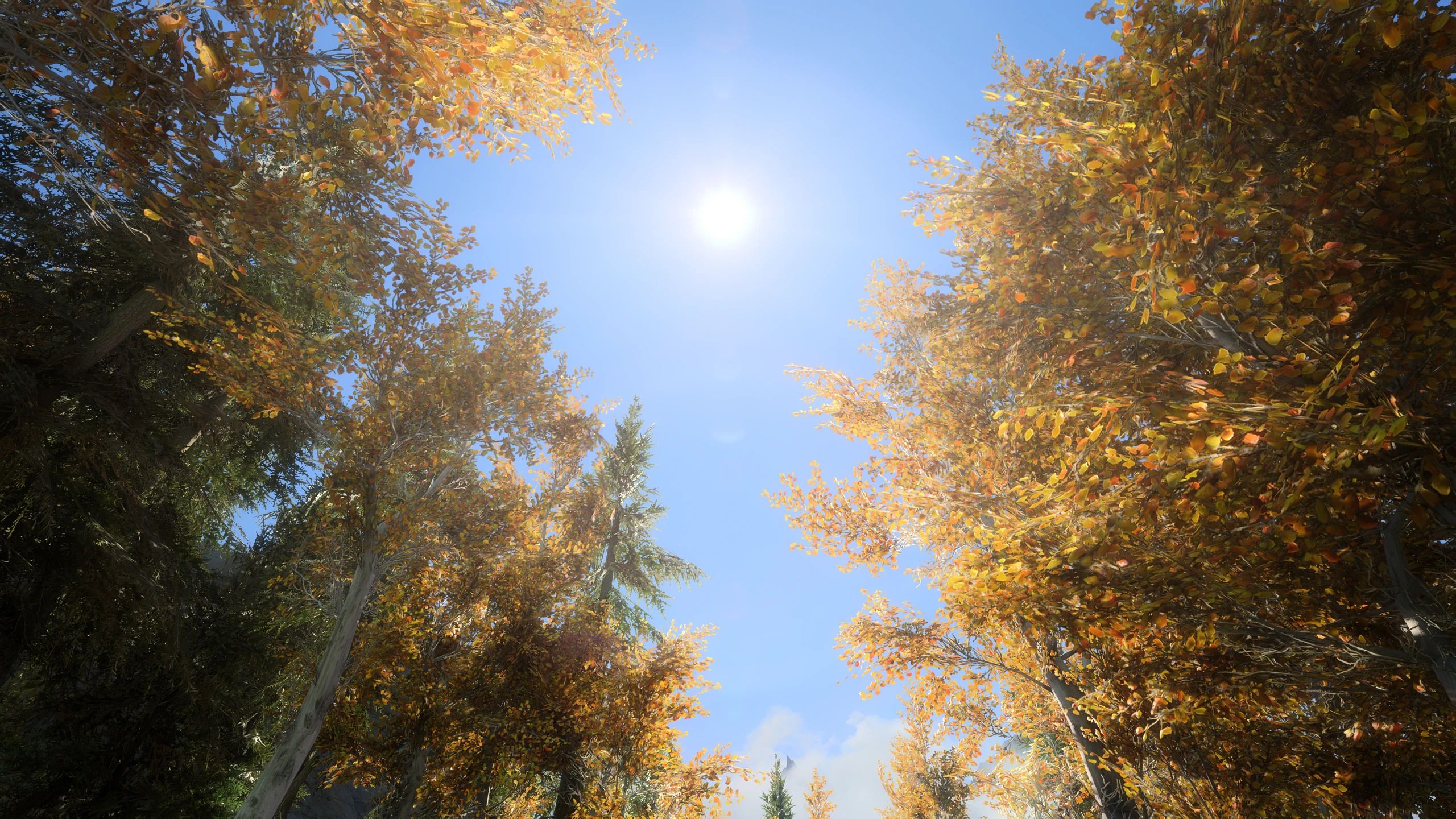 Tomato's PBR Vanilla Trees mod for The Elder Scrolls V: Skyrim Special Edition