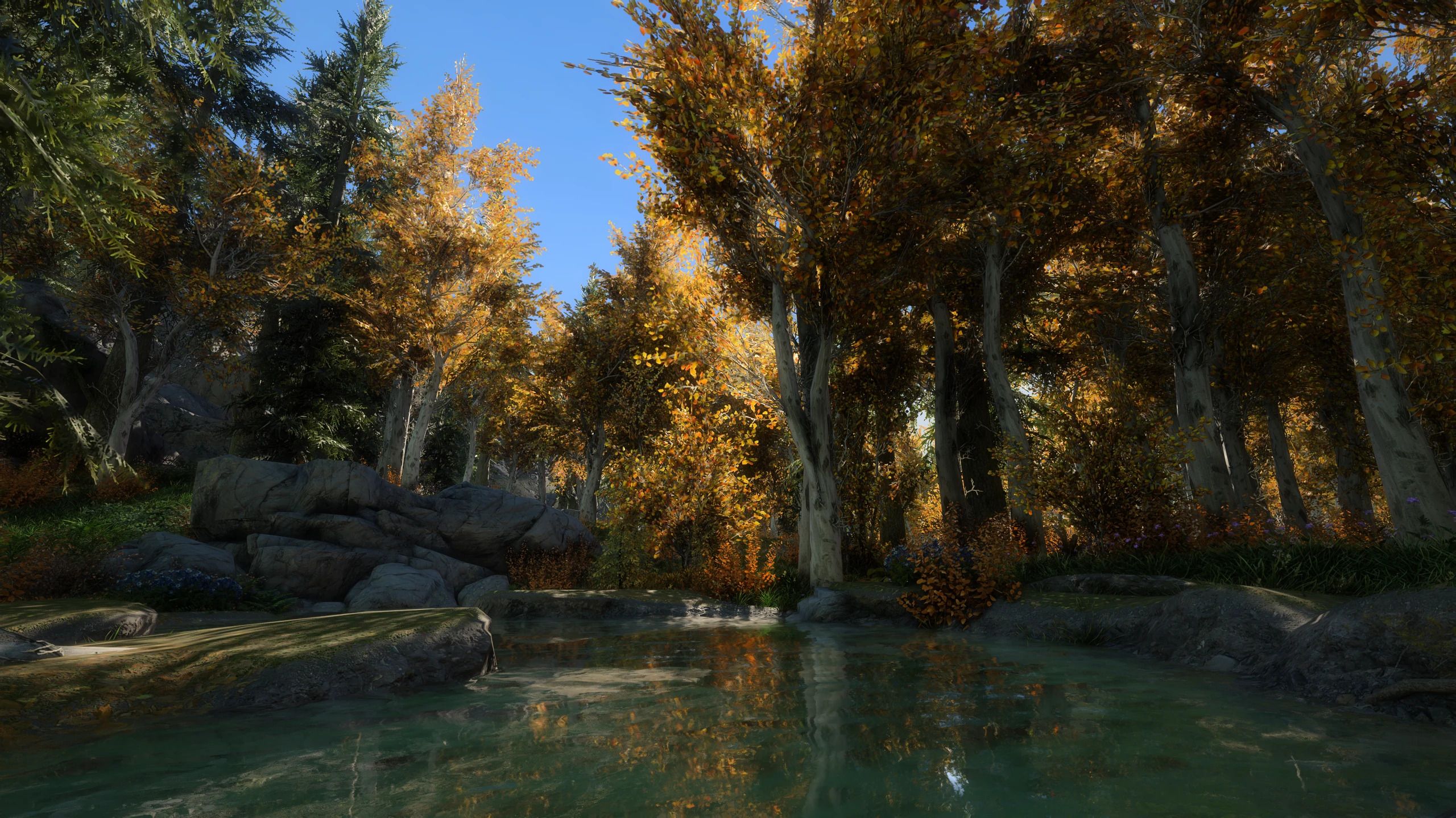 Tomato's PBR Vanilla Trees mod for The Elder Scrolls V: Skyrim Special Edition