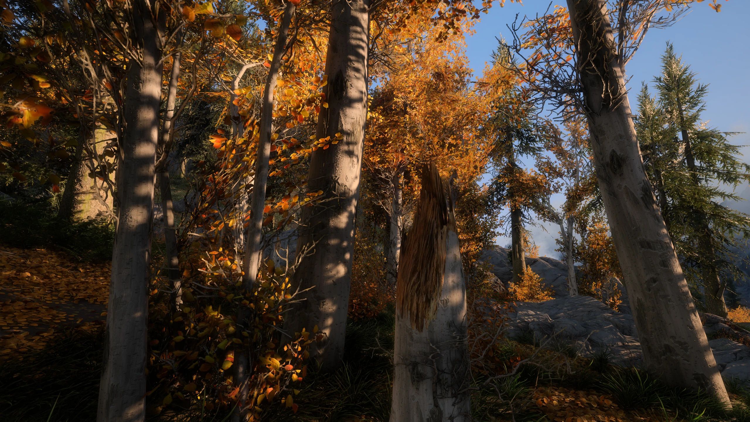 Tomato's PBR Vanilla Trees mod for The Elder Scrolls V: Skyrim Special Edition