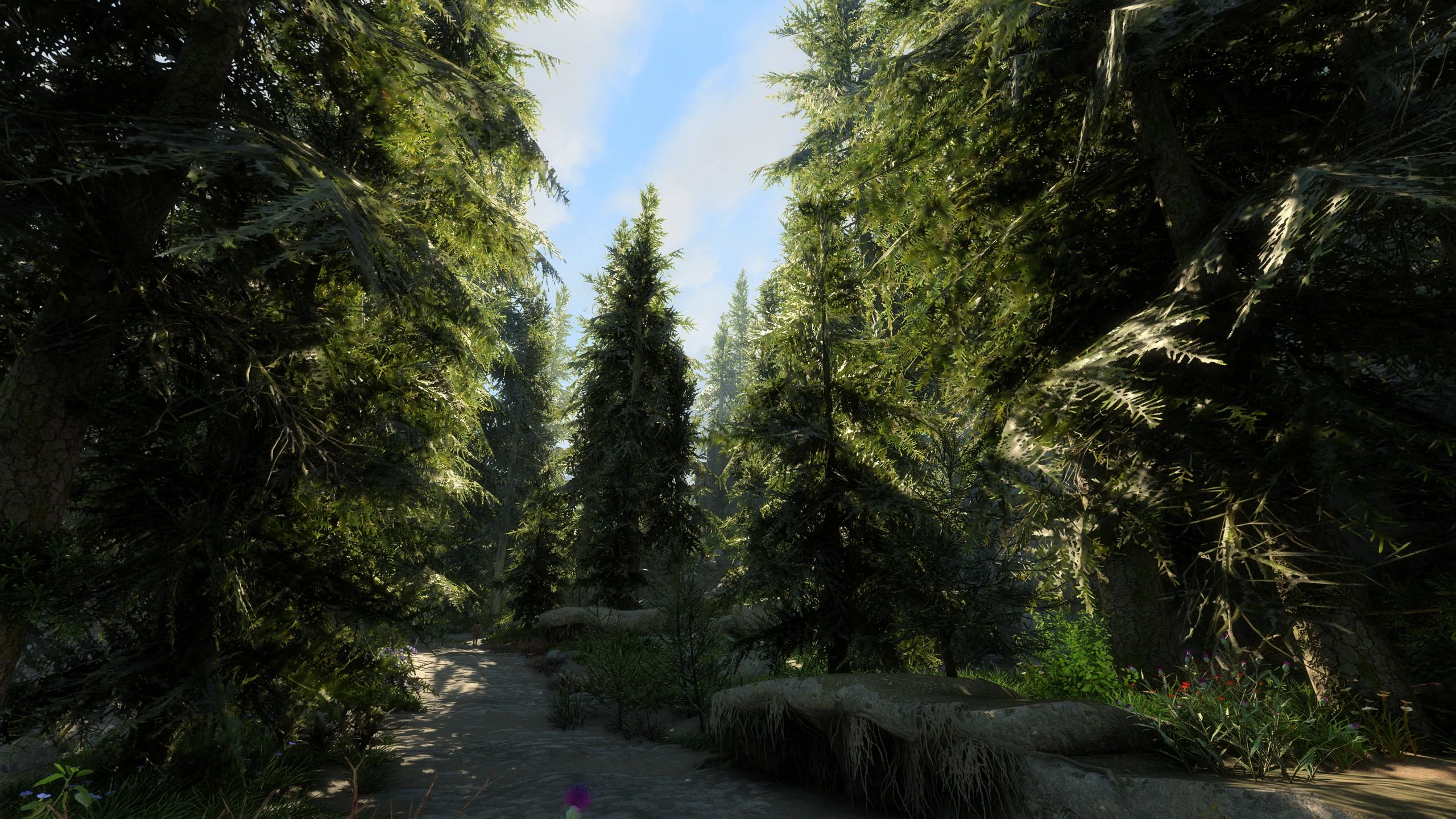 Tomato's PBR Vanilla Trees mod for The Elder Scrolls V: Skyrim Special Edition