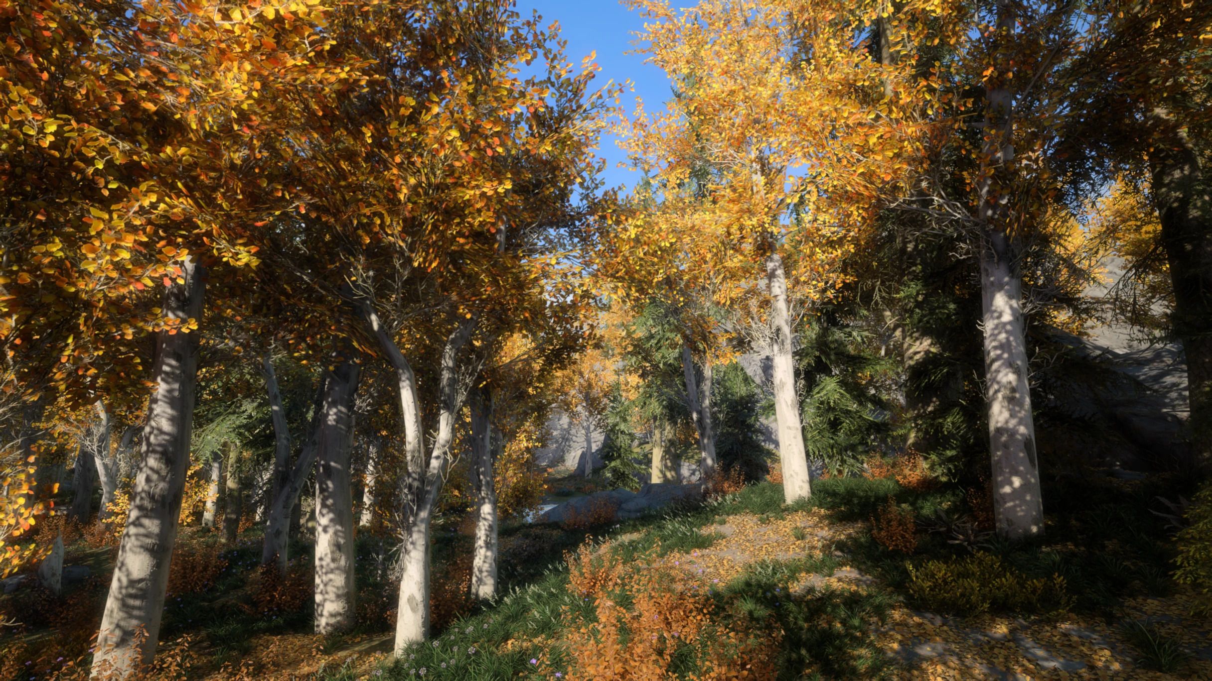 Tomato's PBR Vanilla Trees mod for The Elder Scrolls V: Skyrim Special Edition