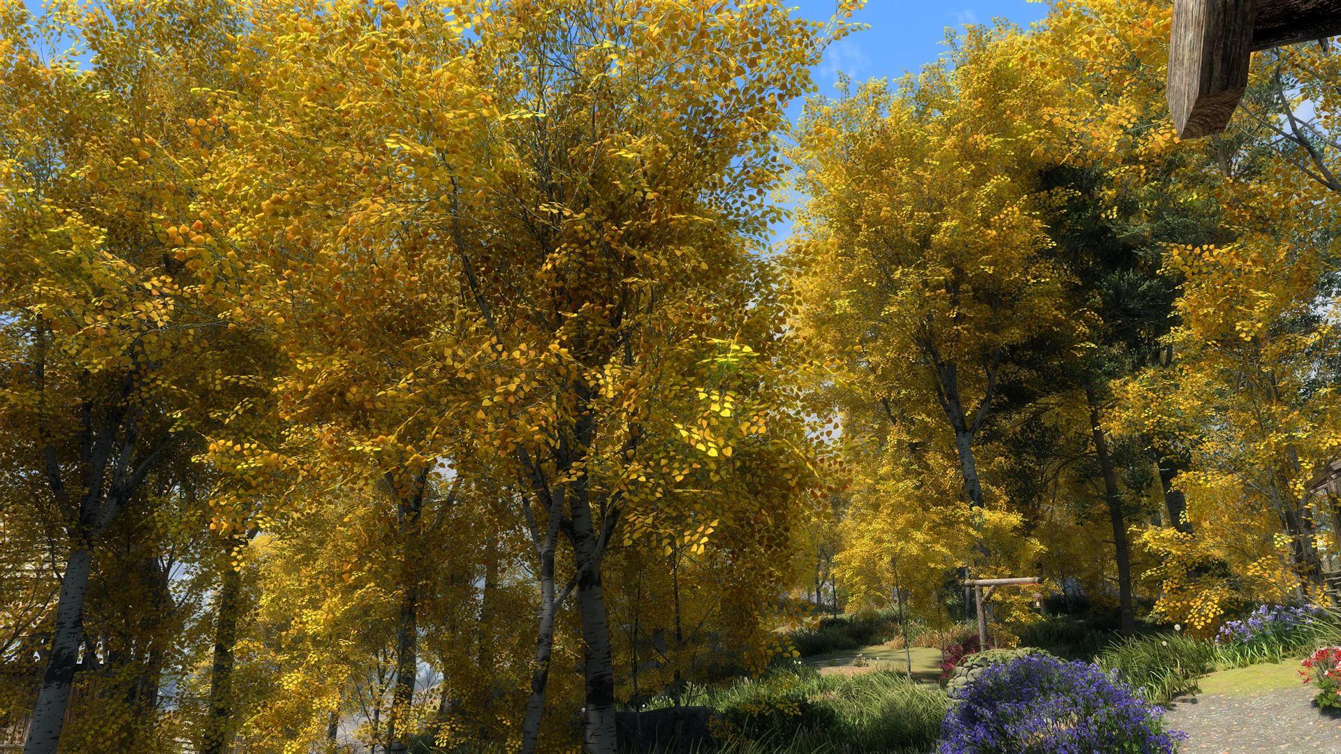 Aspens Ablaze - PBR mod for The Elder Scrolls V: Skyrim Special Edition