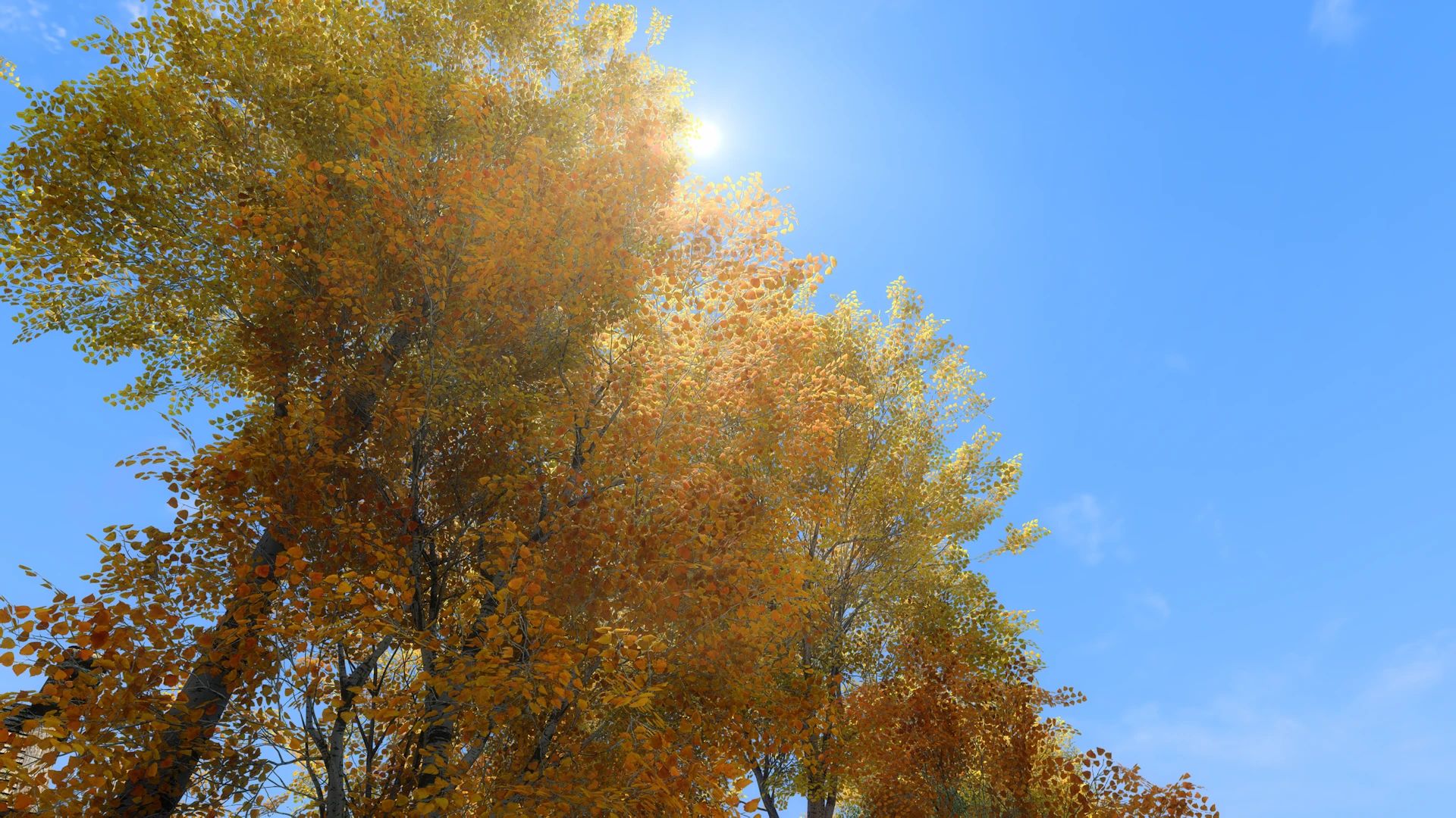 Aspens Ablaze - PBR mod for The Elder Scrolls V: Skyrim Special Edition