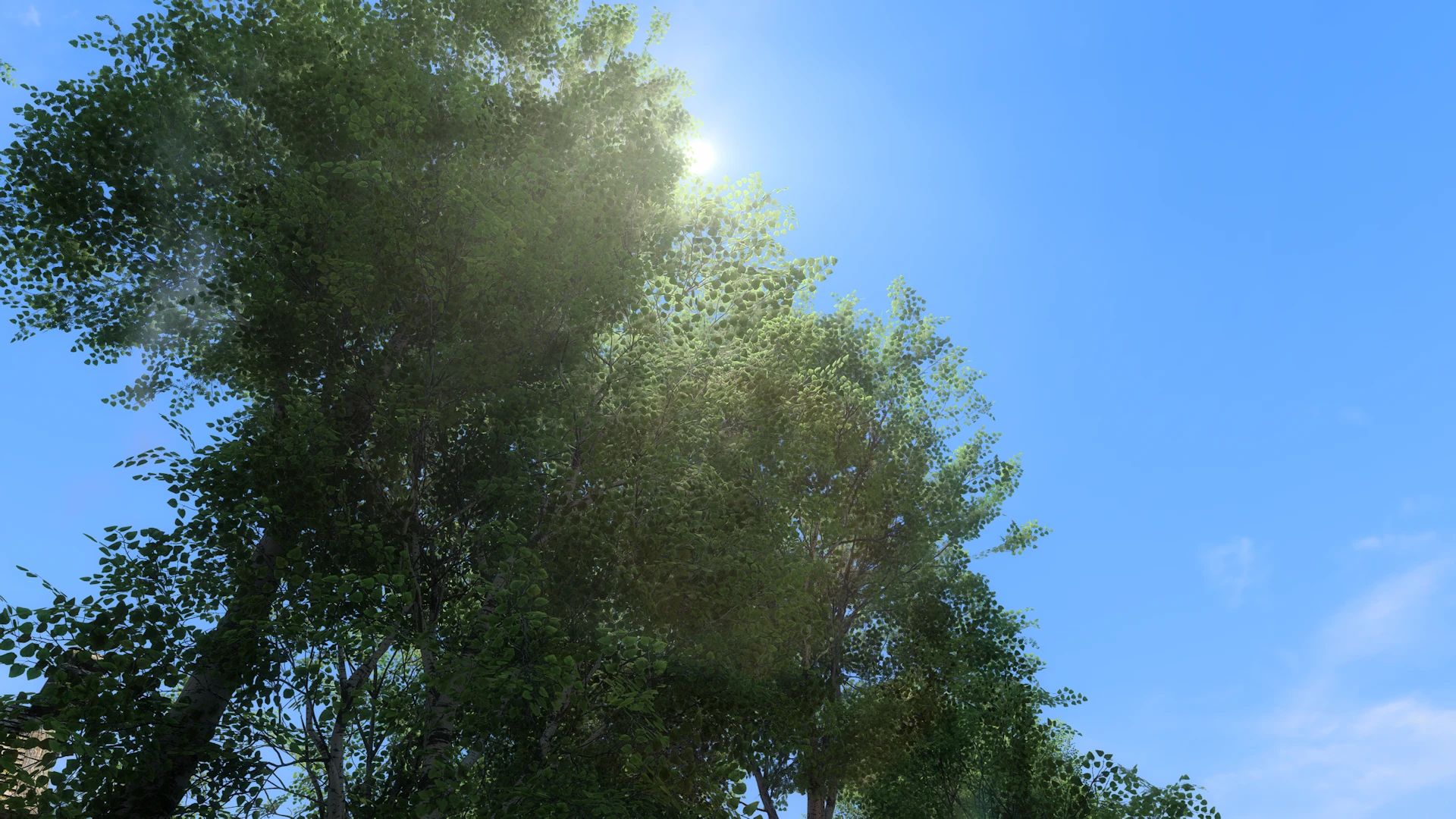 Aspens Ablaze - PBR mod for The Elder Scrolls V: Skyrim Special Edition