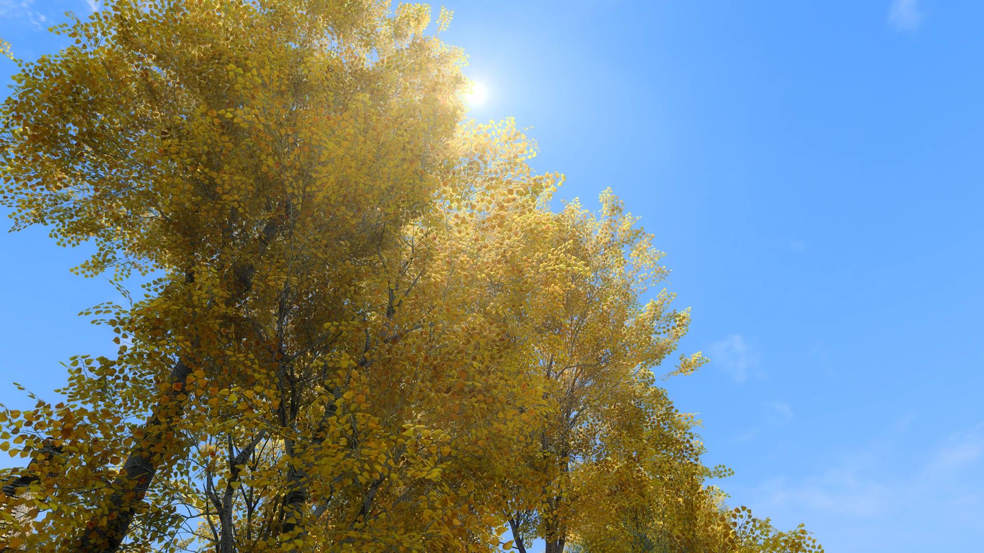 Aspens Ablaze - PBR mod for The Elder Scrolls V: Skyrim Special Edition