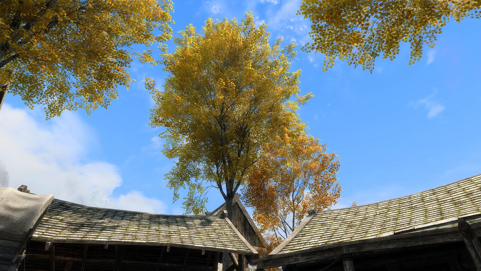 Aspens Ablaze - PBR mod for The Elder Scrolls V: Skyrim Special Edition