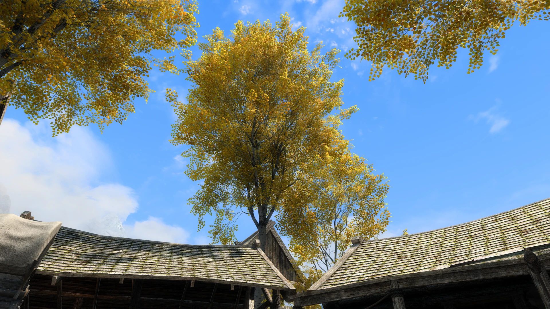 Aspens Ablaze - PBR mod for The Elder Scrolls V: Skyrim Special Edition