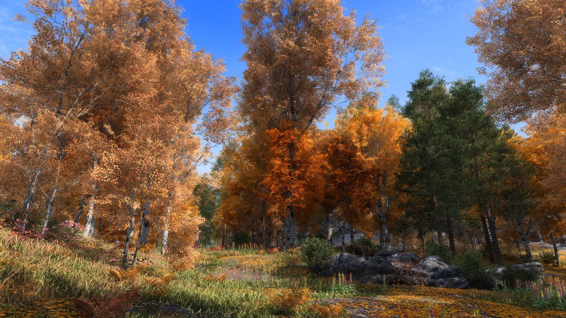 Aspens Ablaze - PBR mod for The Elder Scrolls V: Skyrim Special Edition
