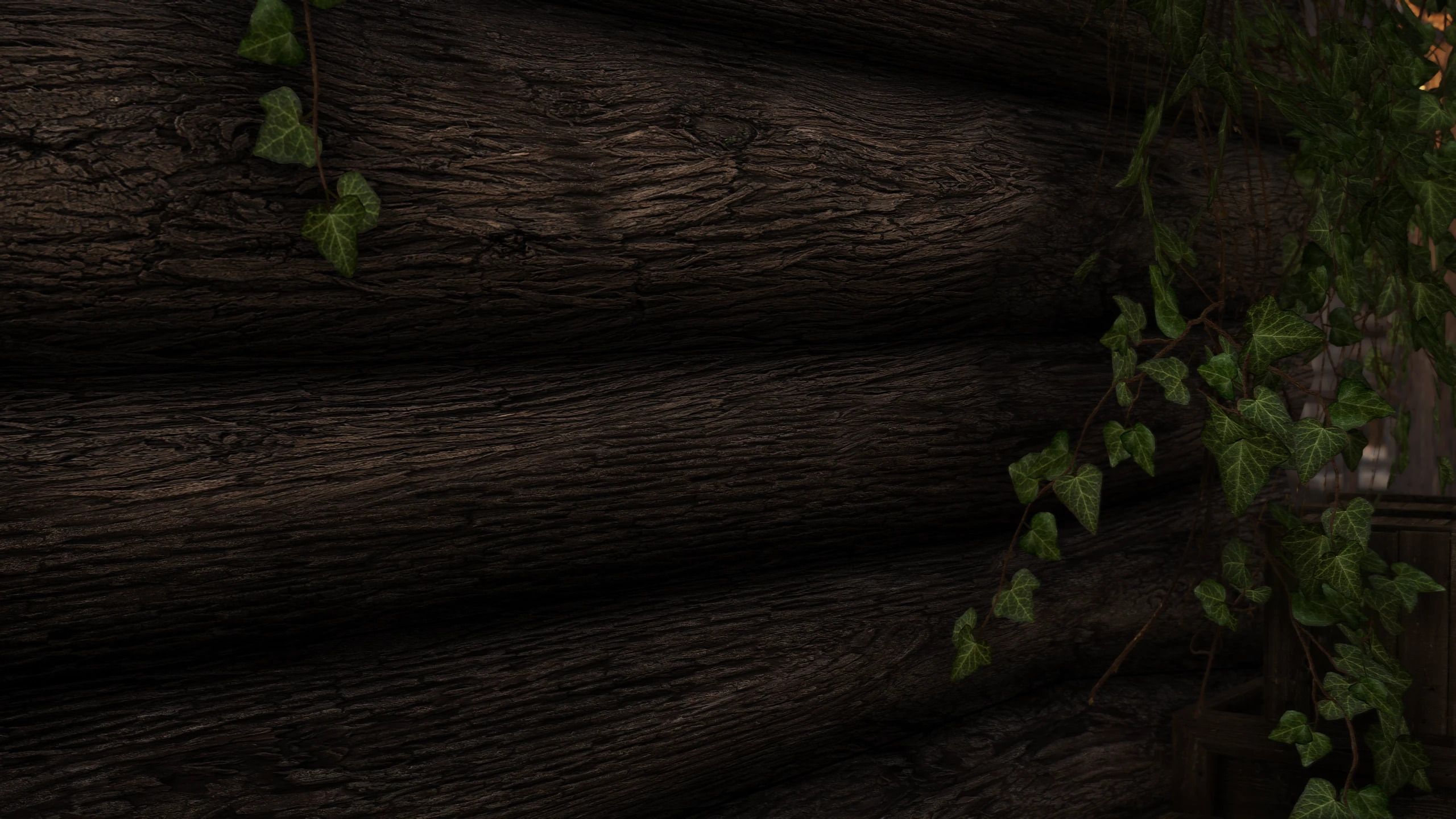 Tomato's Riften and Ratway - Complex Material mod for The Elder Scrolls V: Skyrim Special Edition