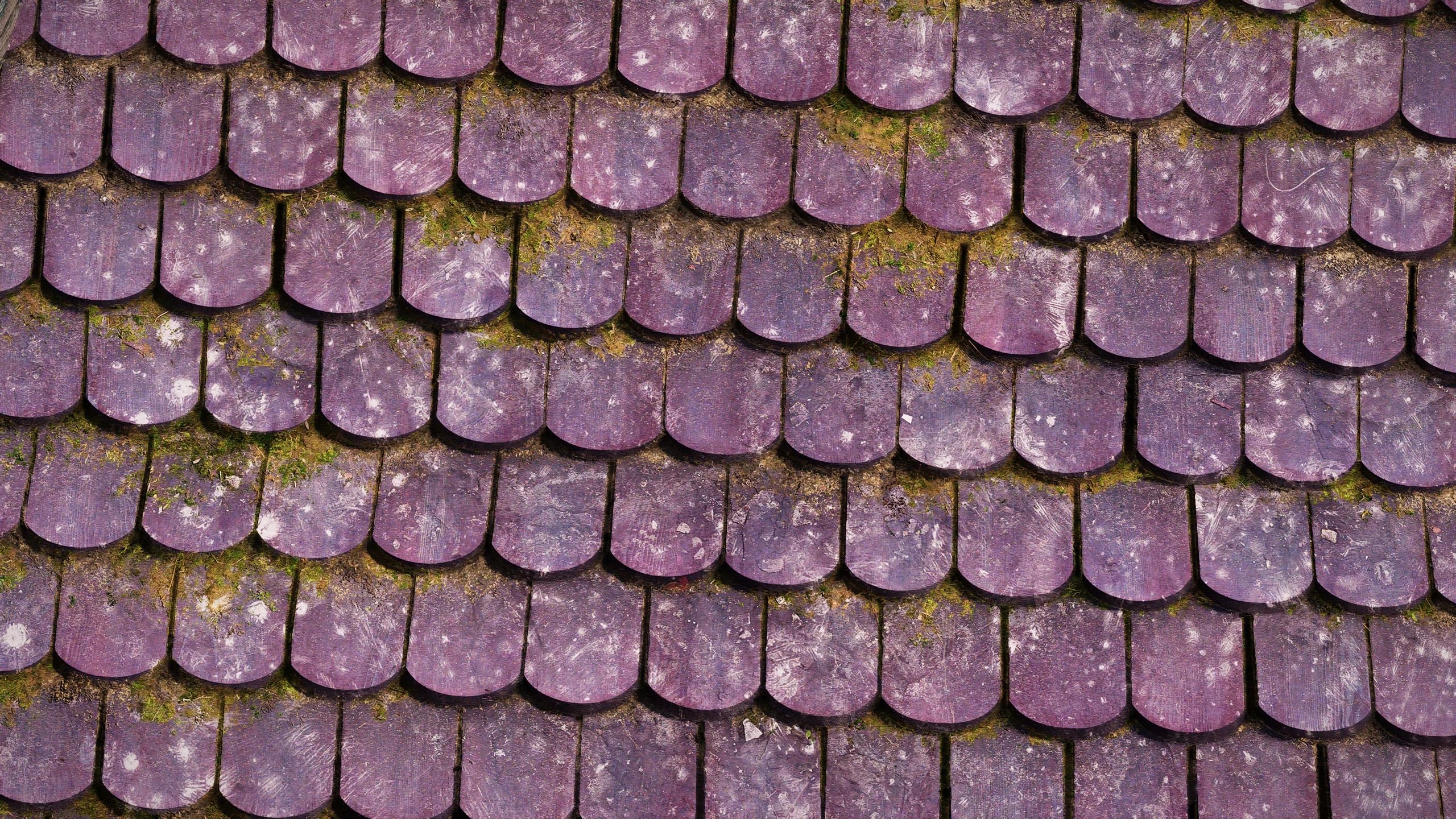 Tomato's Riften and Ratway - Complex Material mod for The Elder Scrolls V: Skyrim Special Edition