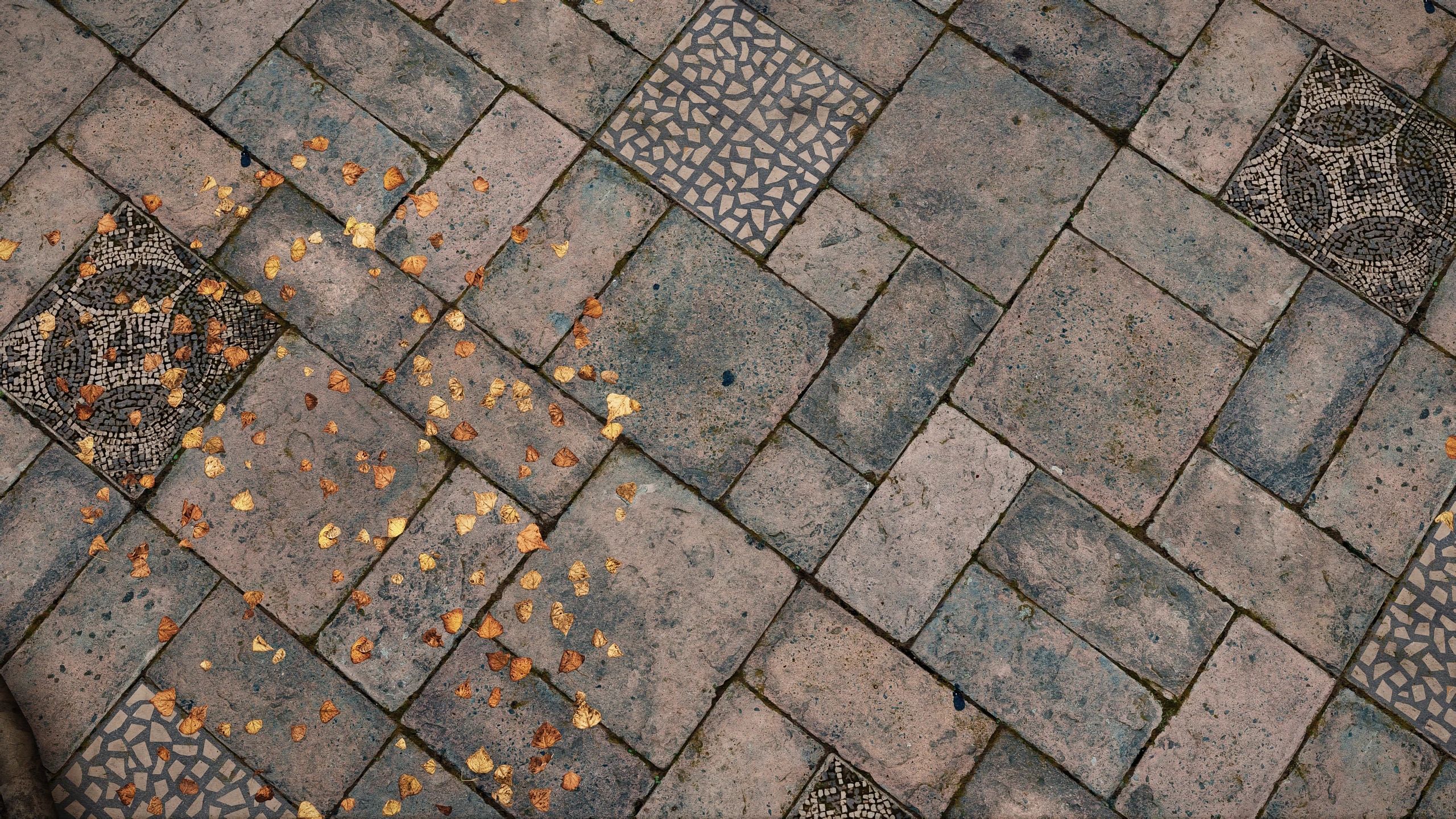 Tomato's Riften and Ratway - Complex Material mod for The Elder Scrolls V: Skyrim Special Edition