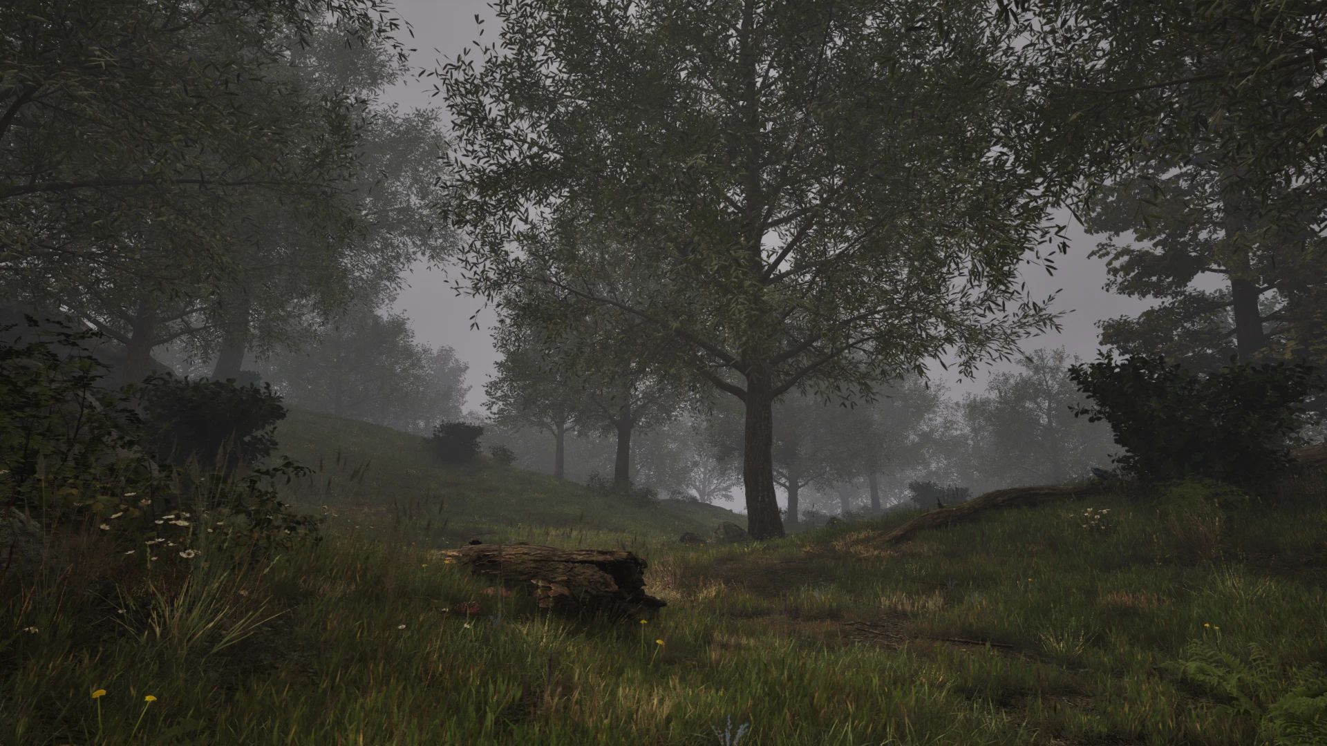 Dark Climates mod for The Elder Scrolls IV: Oblivion Remastered